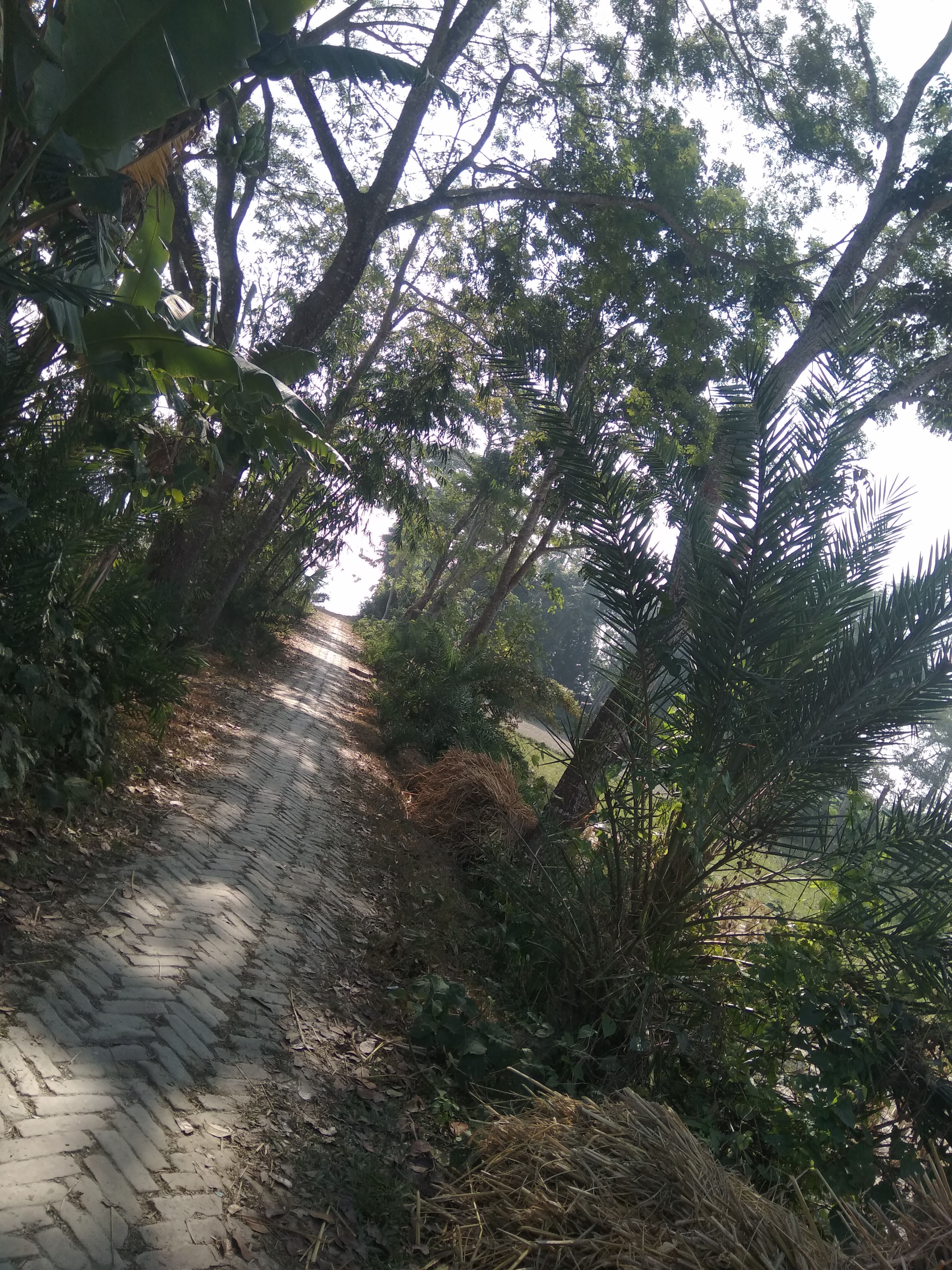 IMG_20181229_104514.jpg