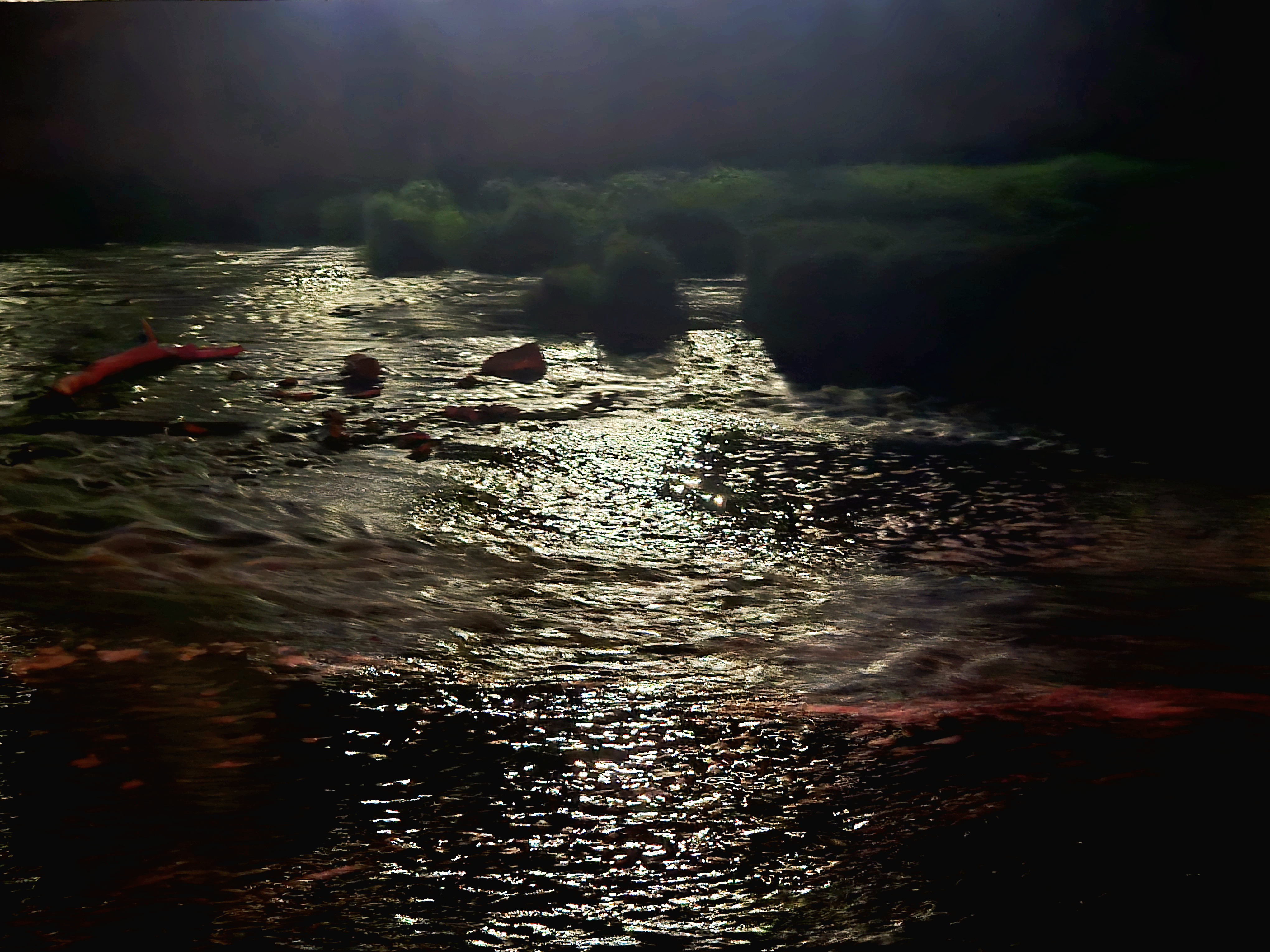 20250601_225114.jpg
