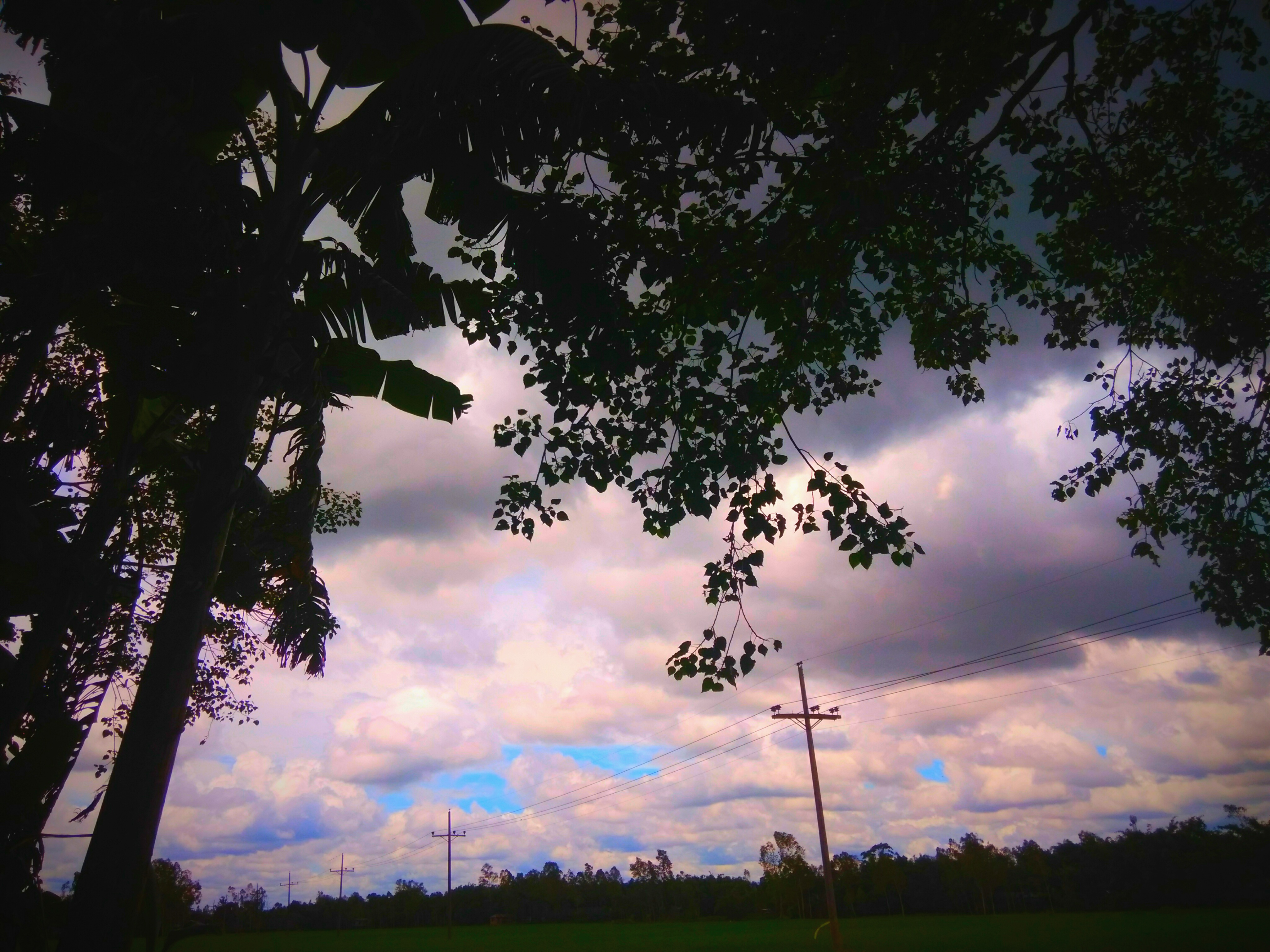IMG_20200816_212702.jpg