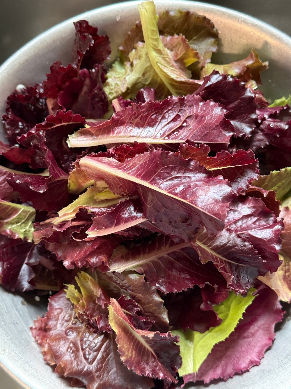 foodiesbeehive-salad-1.jpg