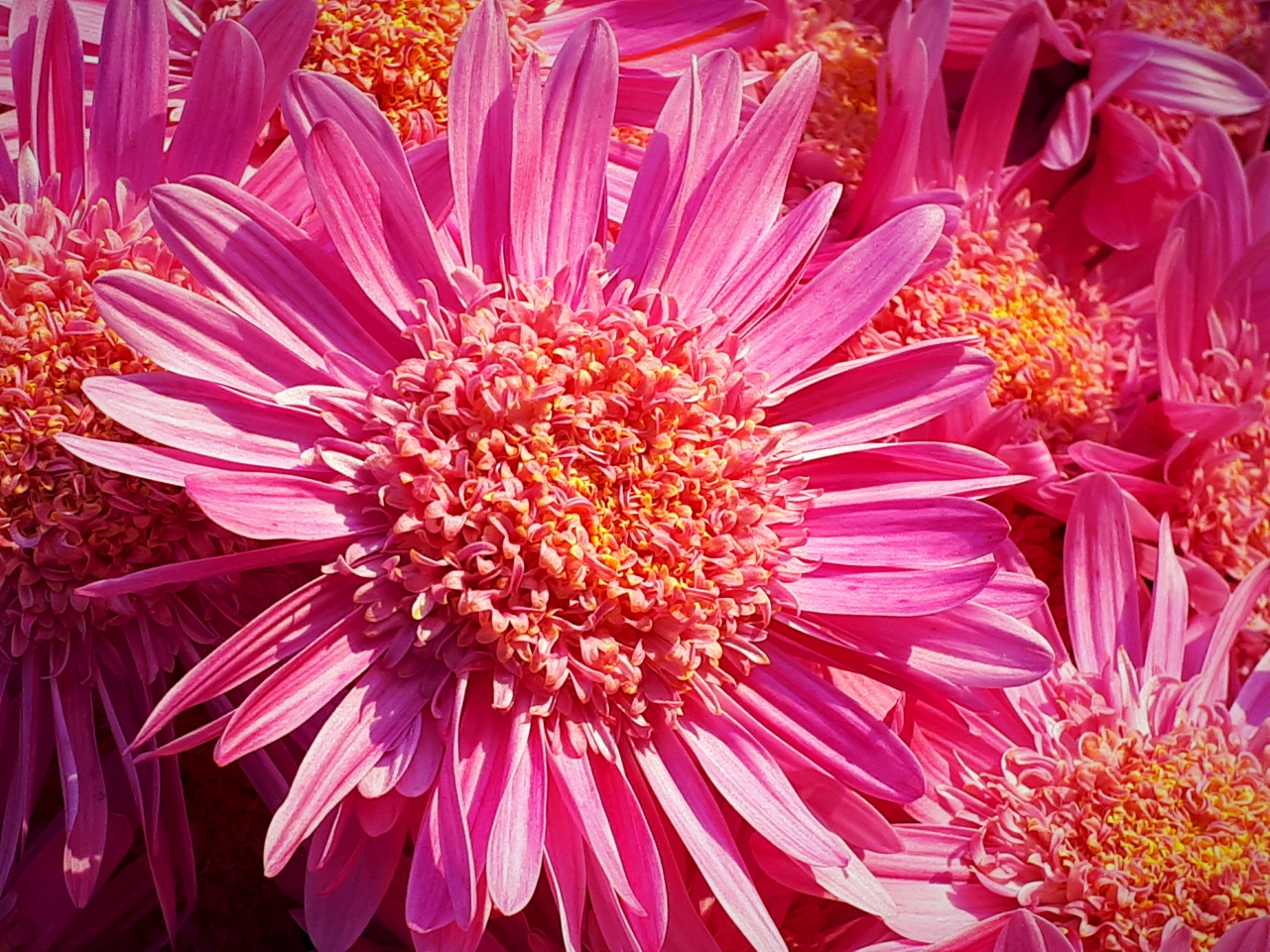 20191125_074530.jpg