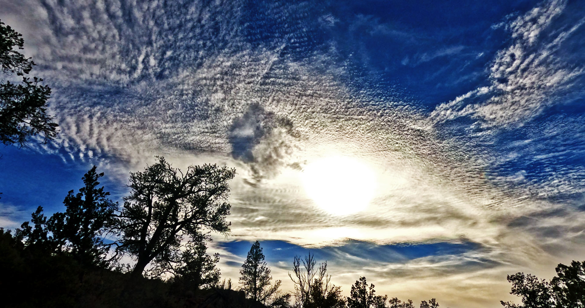 fallstreak-FW.jpg