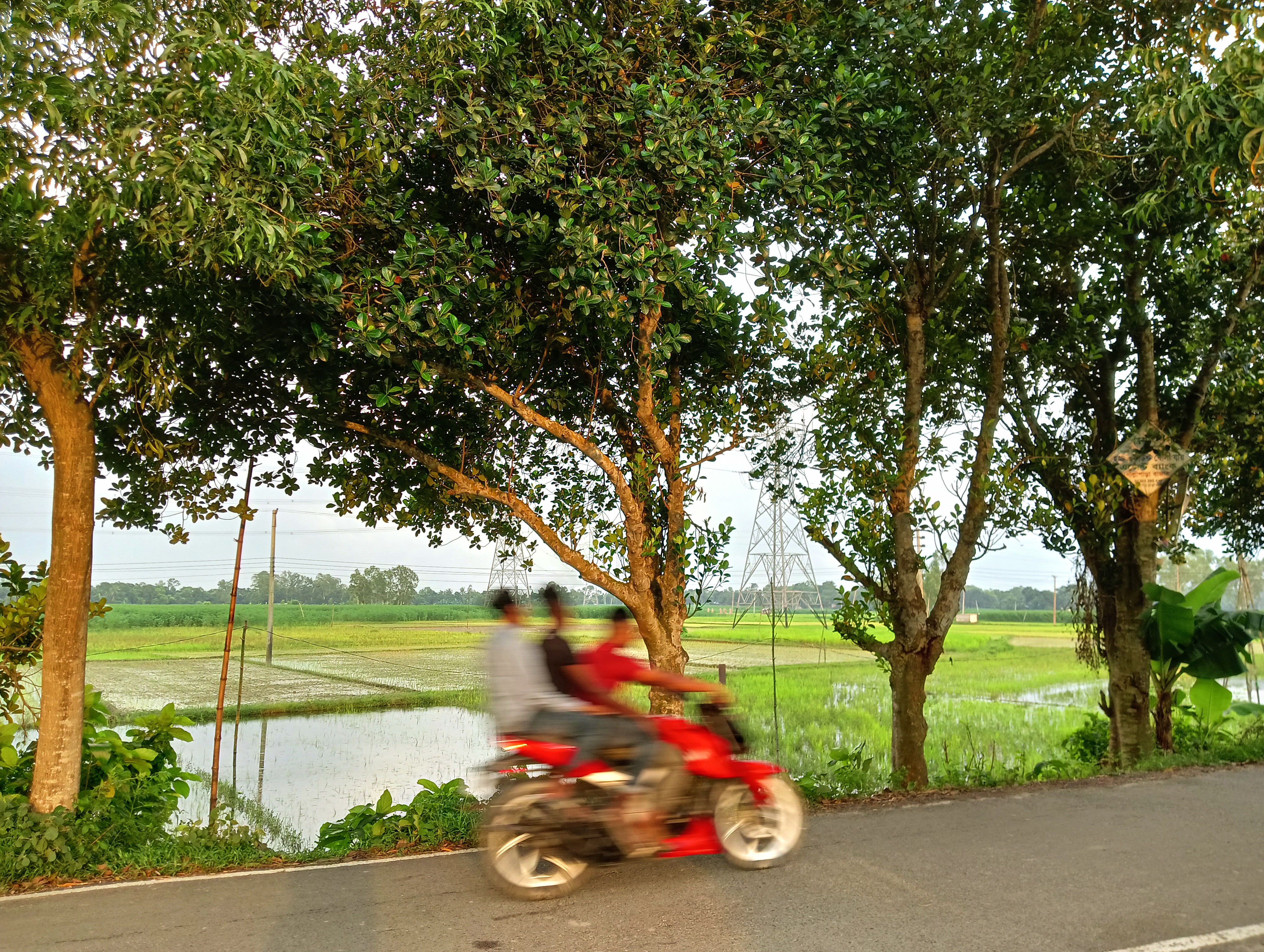 IMG20250815175159.jpg