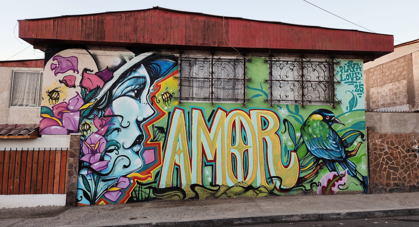 antofagasta-streetart-265.jpg