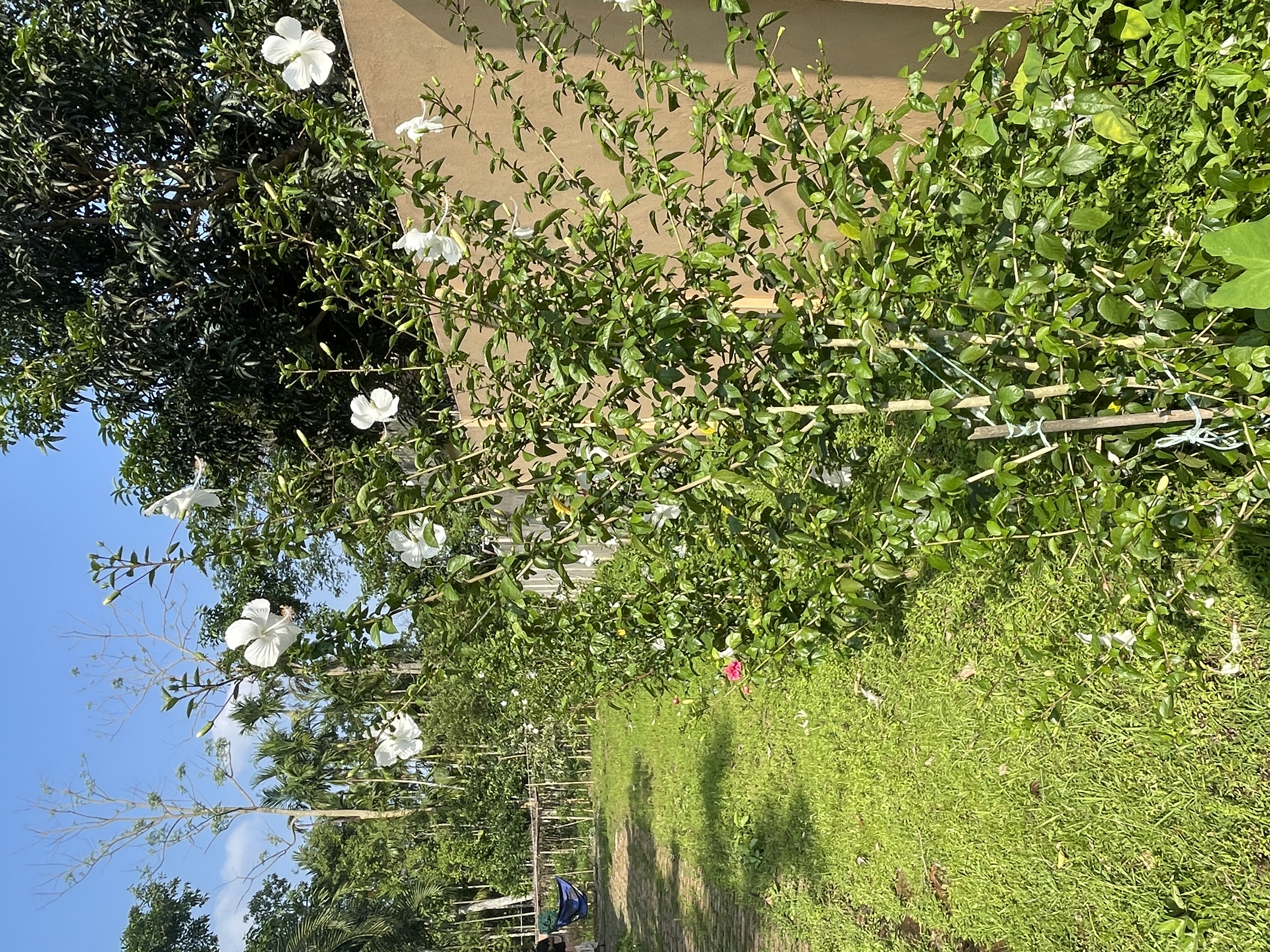 IMG_7791.jpeg