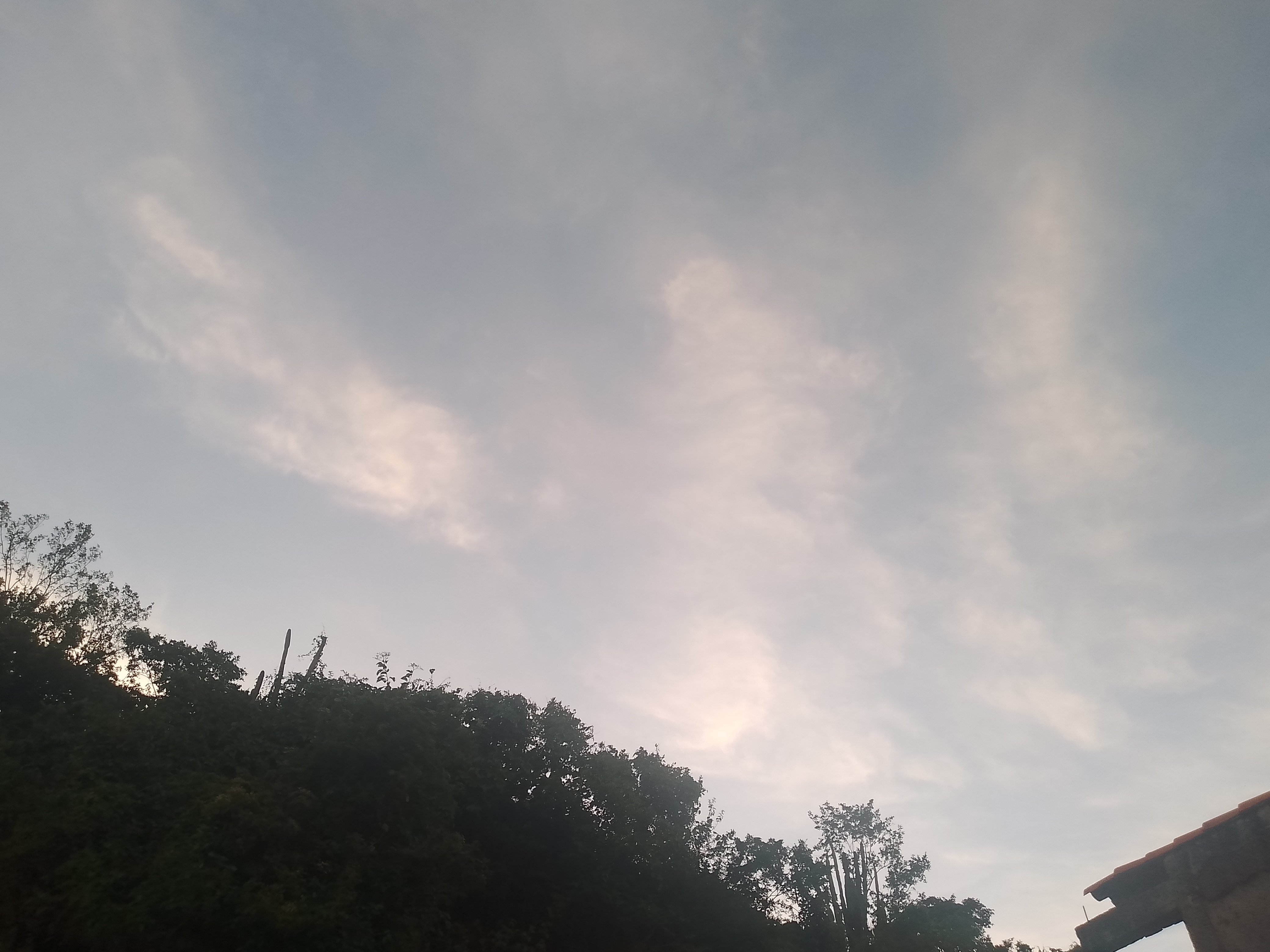 IMG_20250721_183106_178.jpg