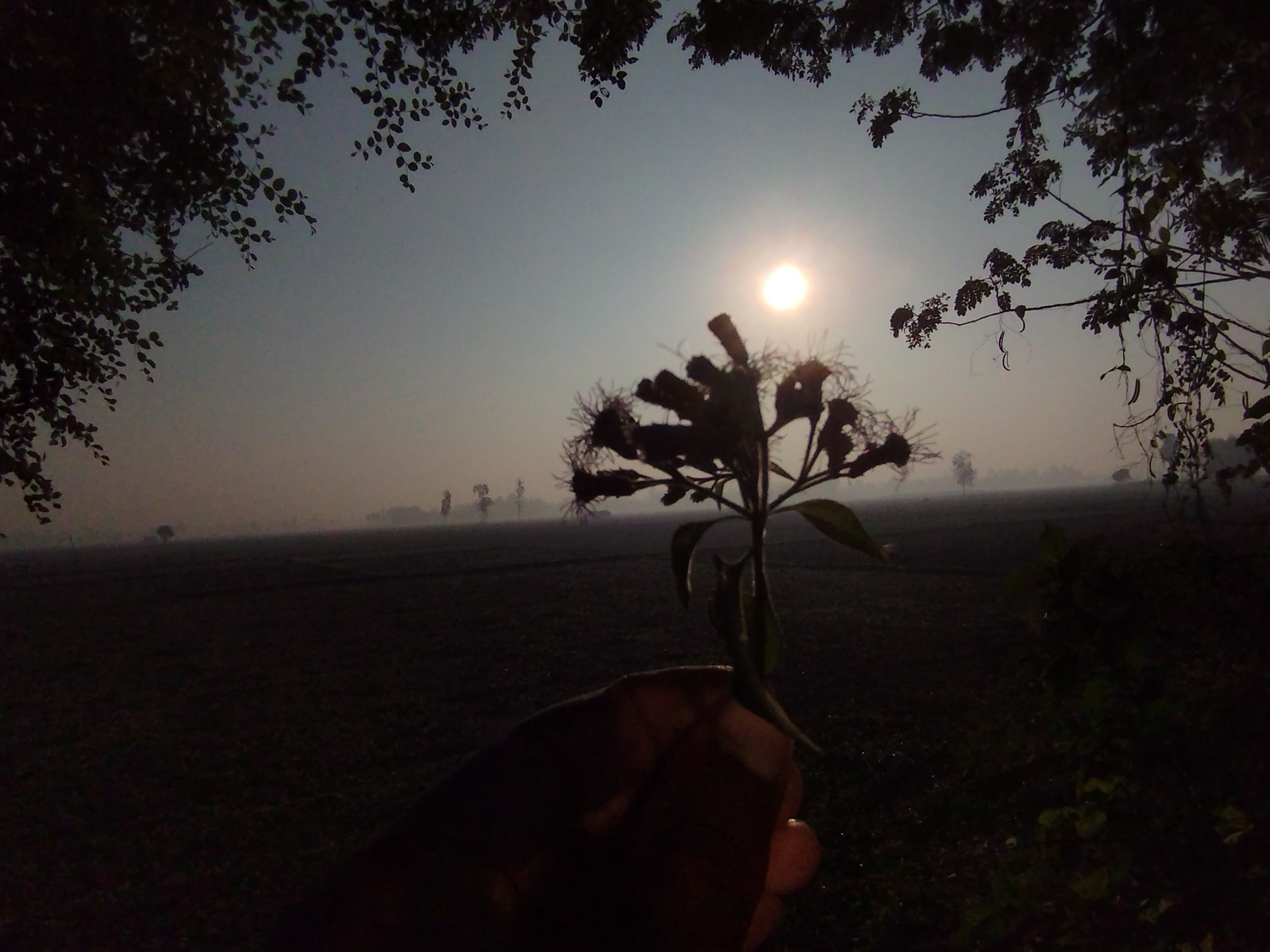 IMG_20241224_075836.jpg