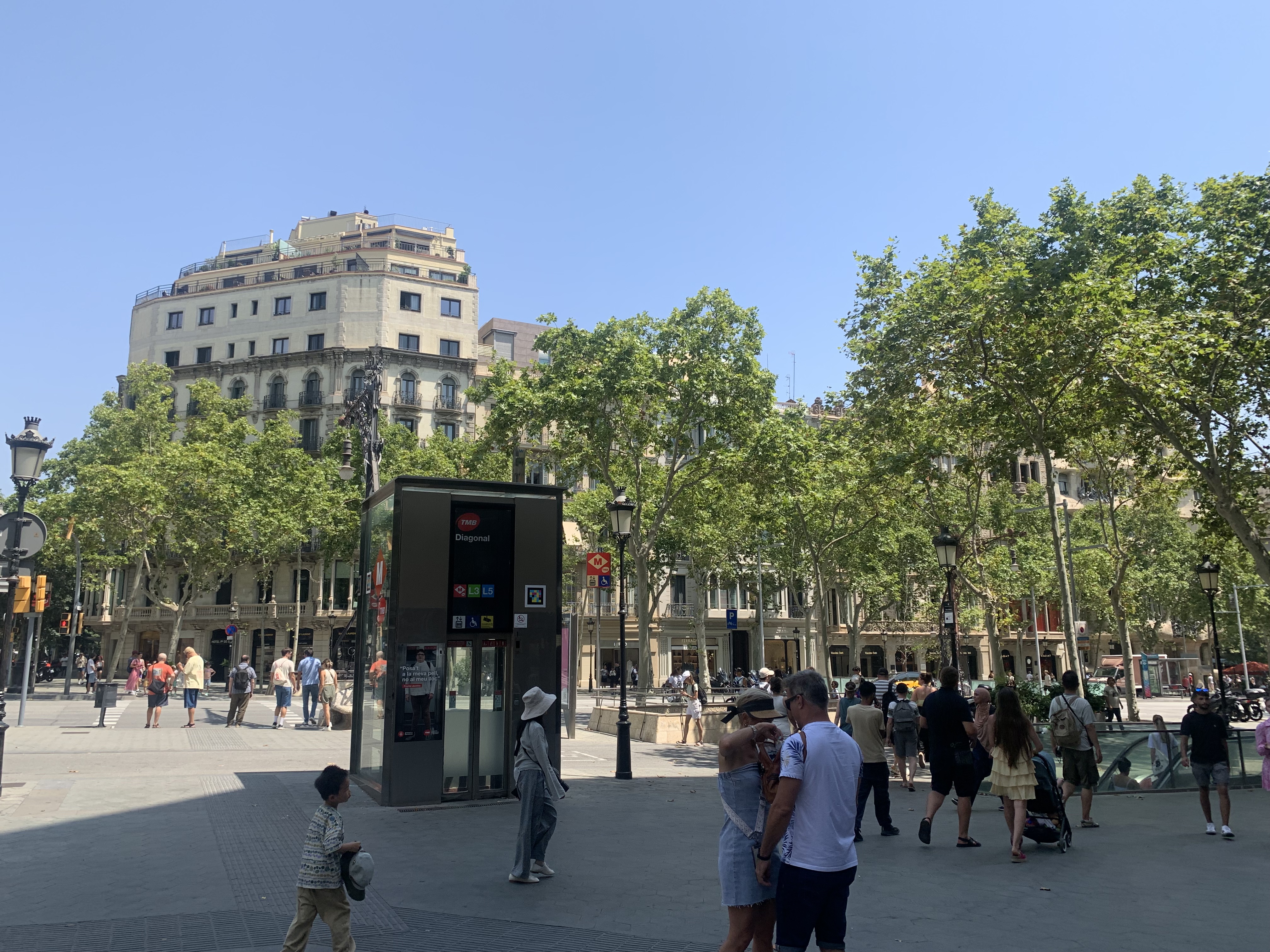 IMG_1872.jpeg