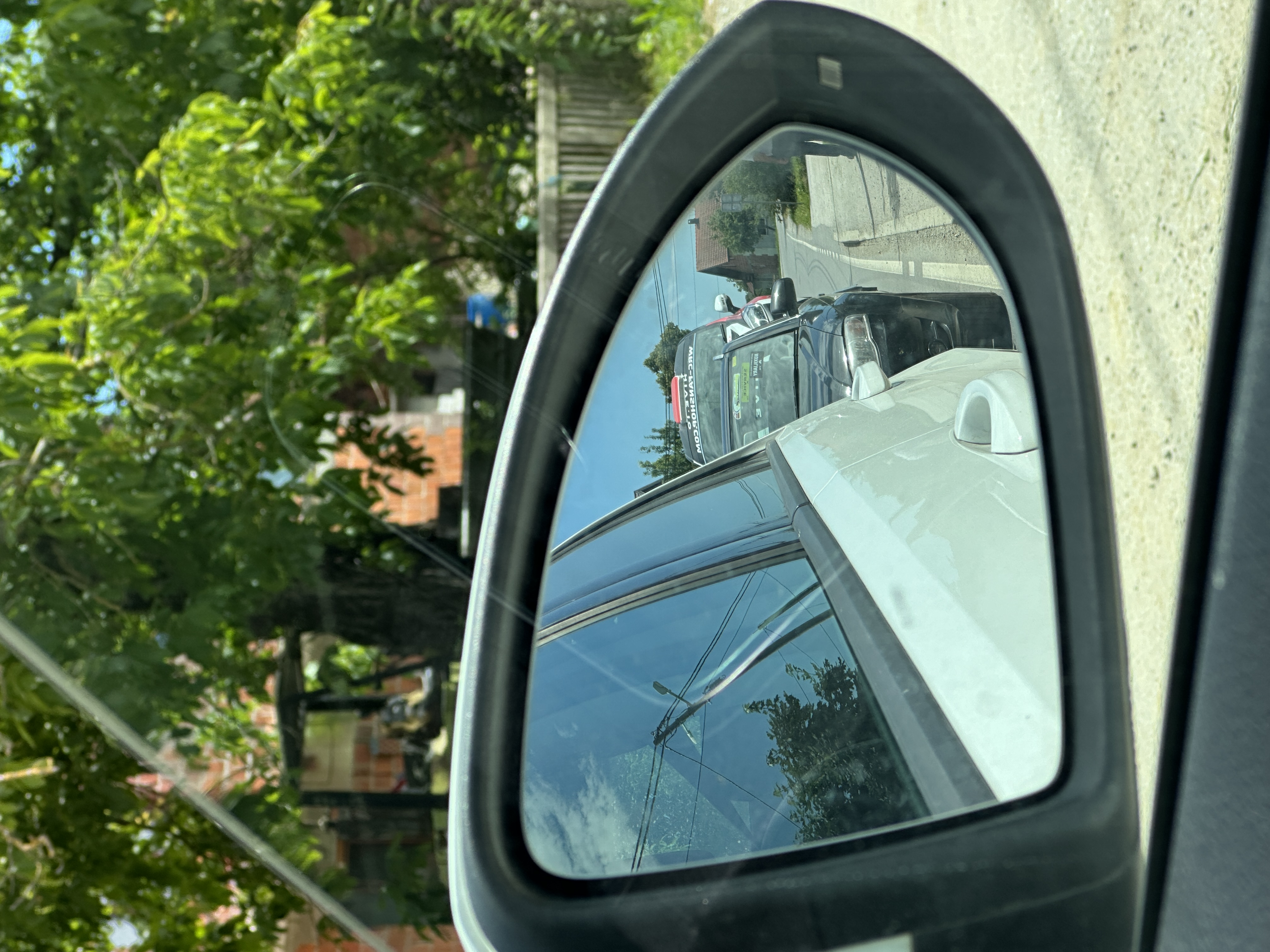IMG_8557.jpeg