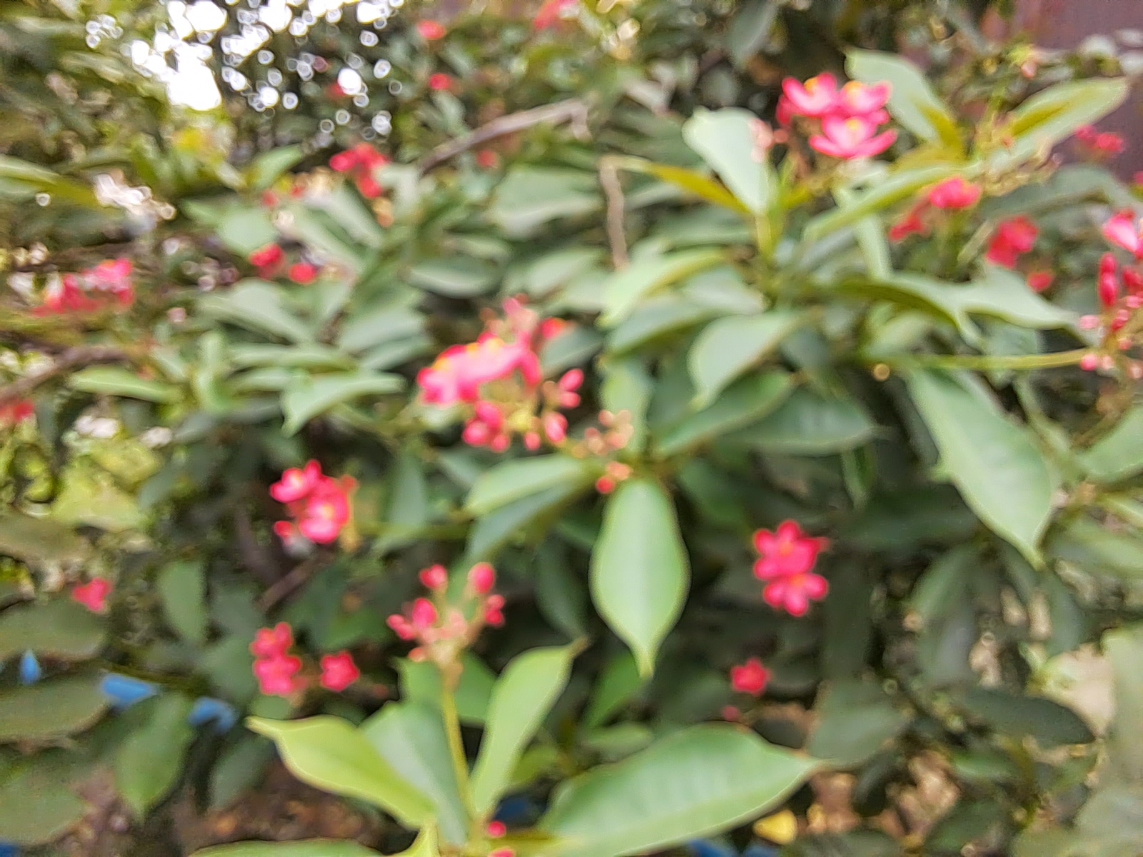 20220930_135103.jpg