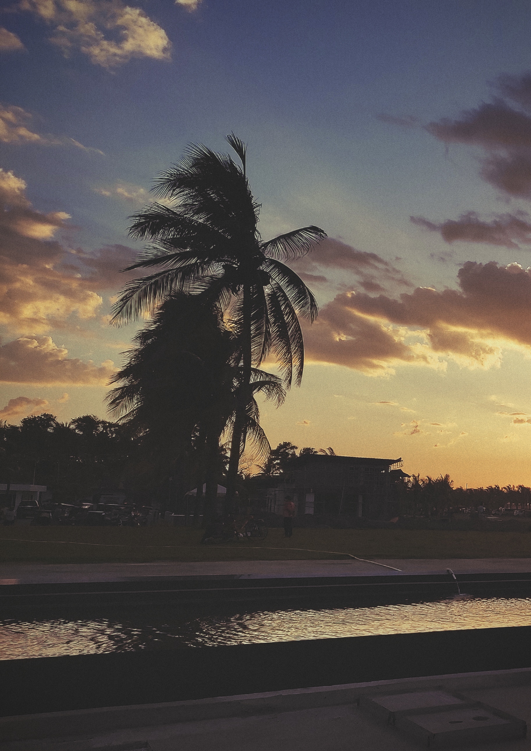 My Actifit Report Card: June 30 2025