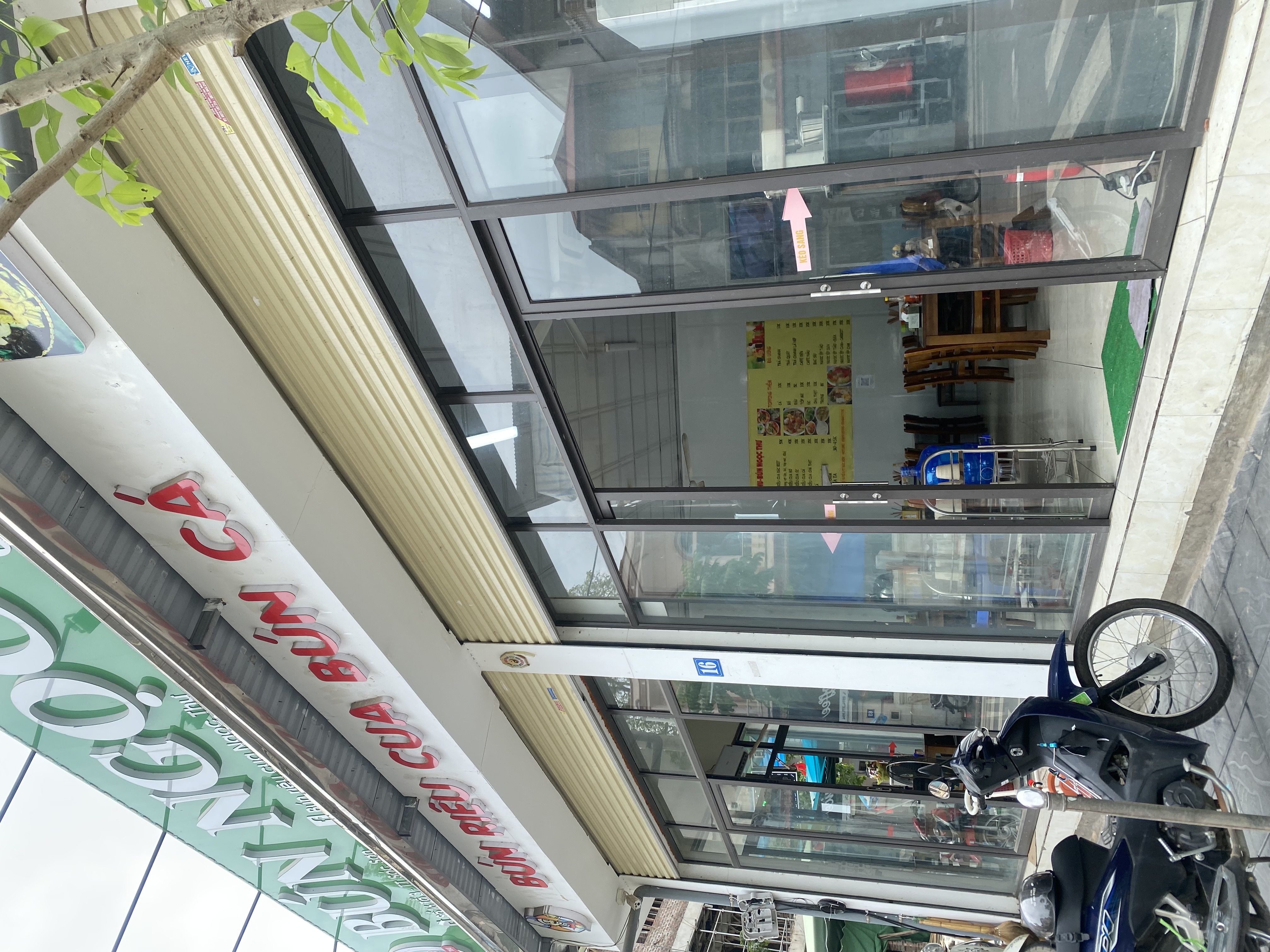 IMG_5921.jpeg