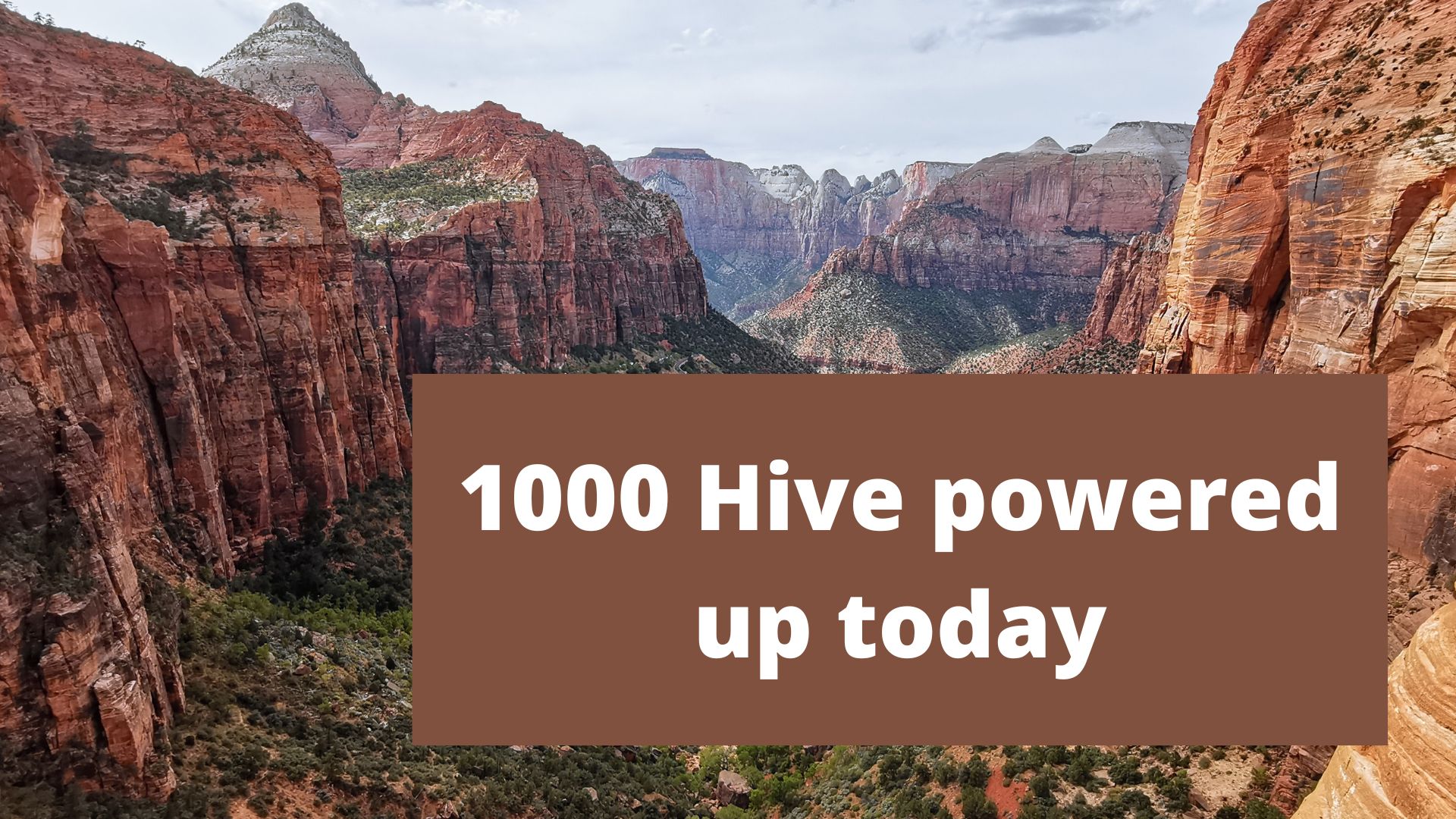1000 hive powered up today.jpg