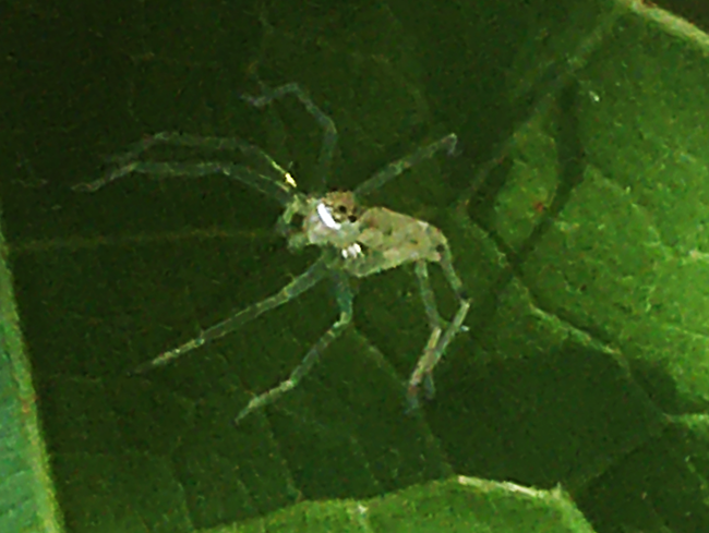 IMG_8892s.png