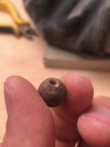 Seed pod with a hole
