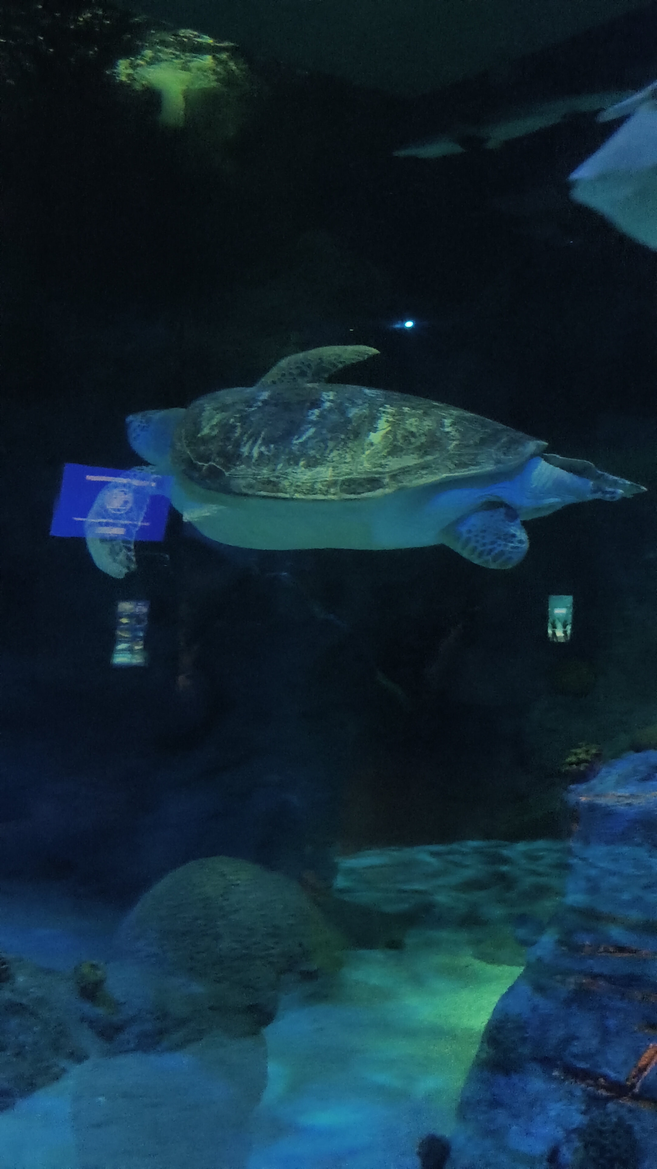 IMG20250629151319.jpg