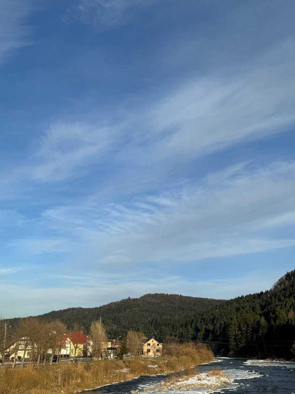 IMG_0704.jpeg