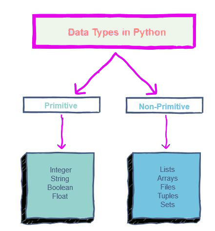 data_types.jpg