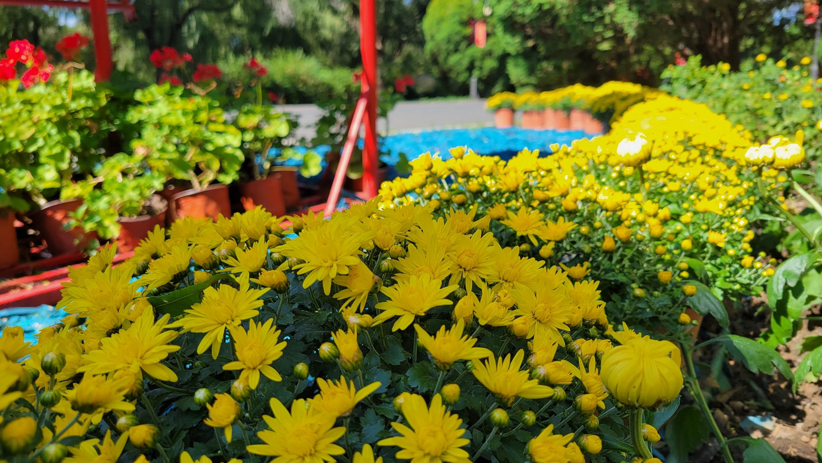 20220919_120719.jpg