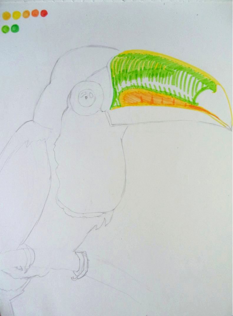 1.tucan art.jpg