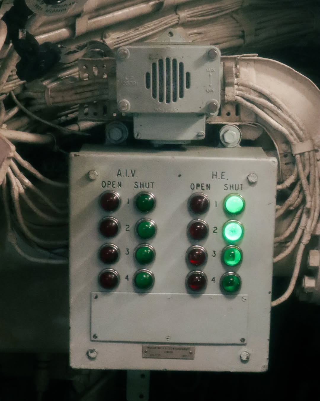 ⚓ Bajo la superficie de la historia - Submarino O’Brien - ValdiviaEl pasado sábado 24 de mayo, .heic (14).jpg