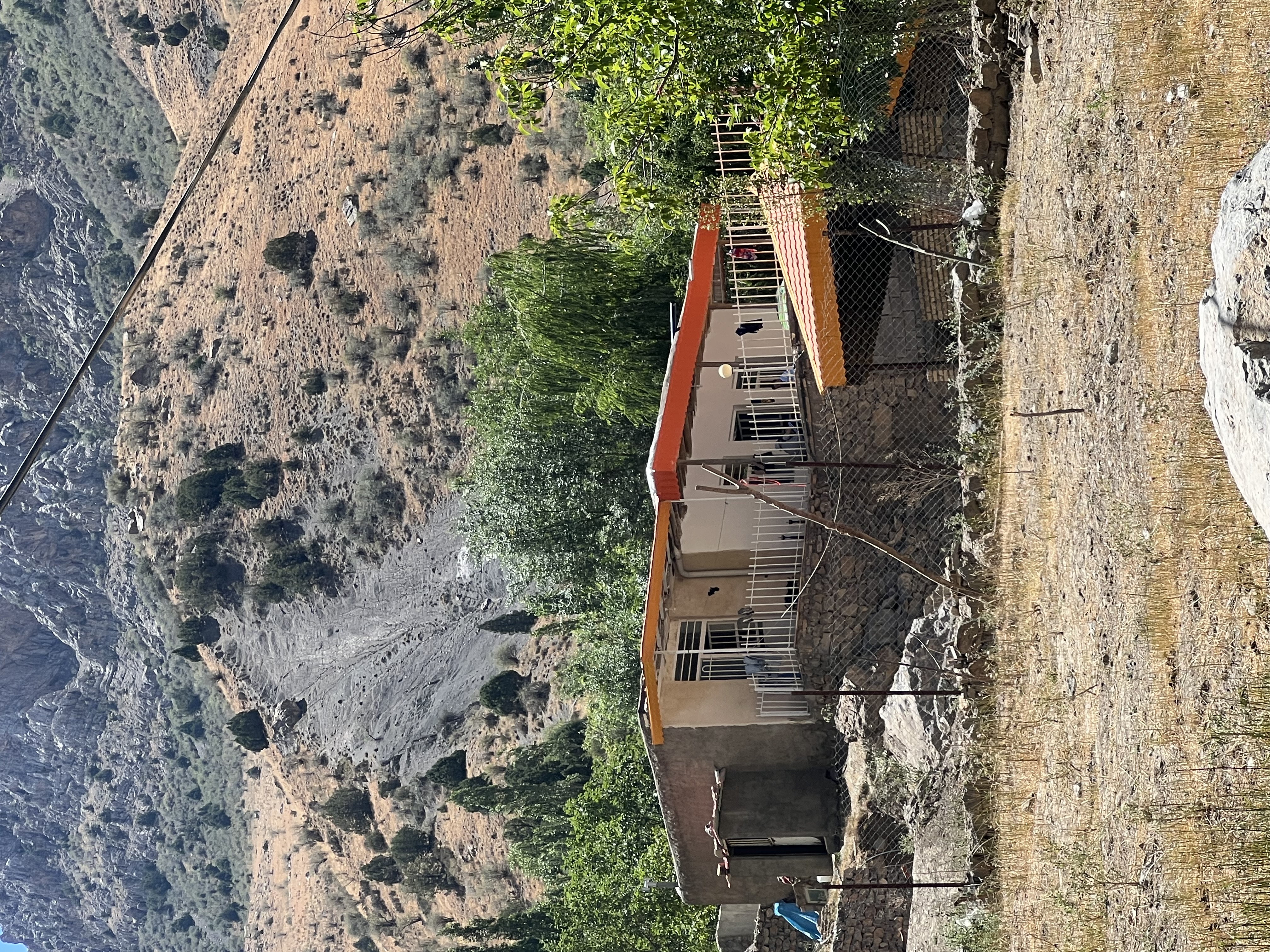 IMG_5241.jpeg