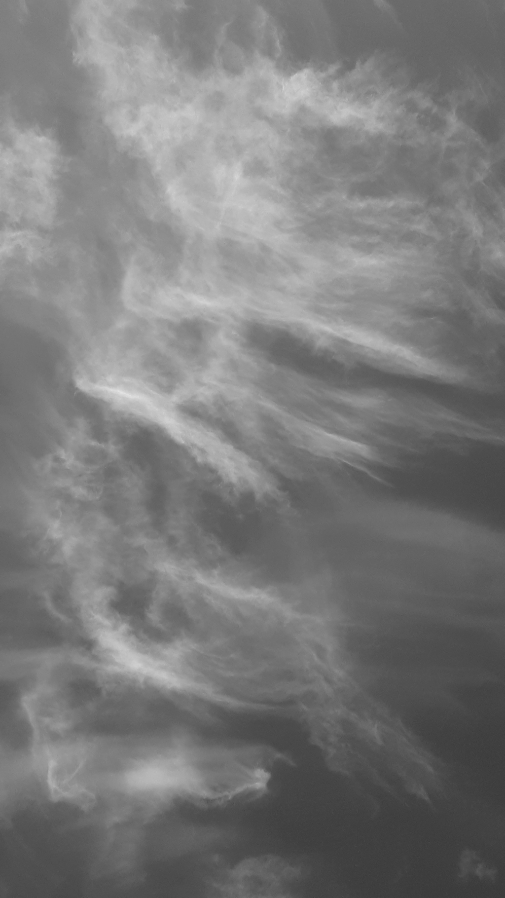 20241021_101202.jpg