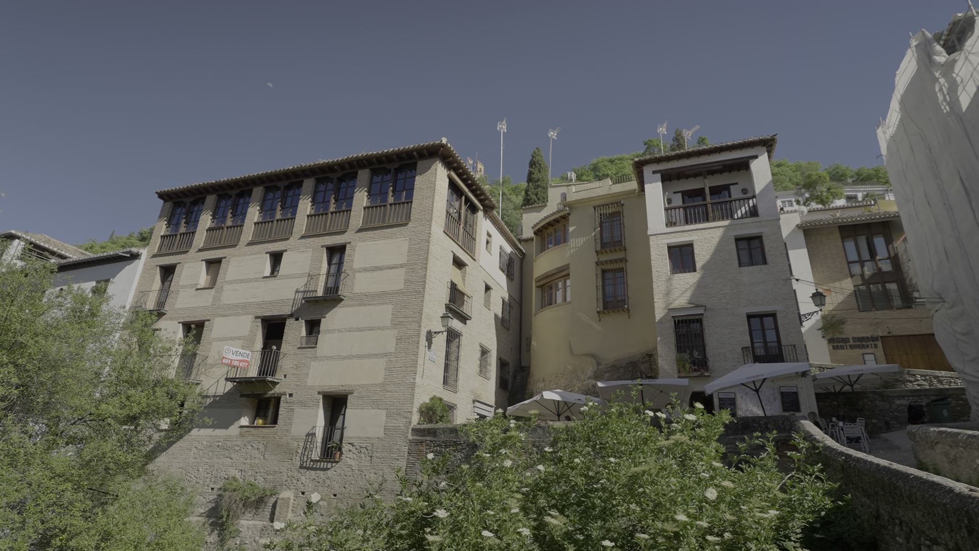 471.jpg