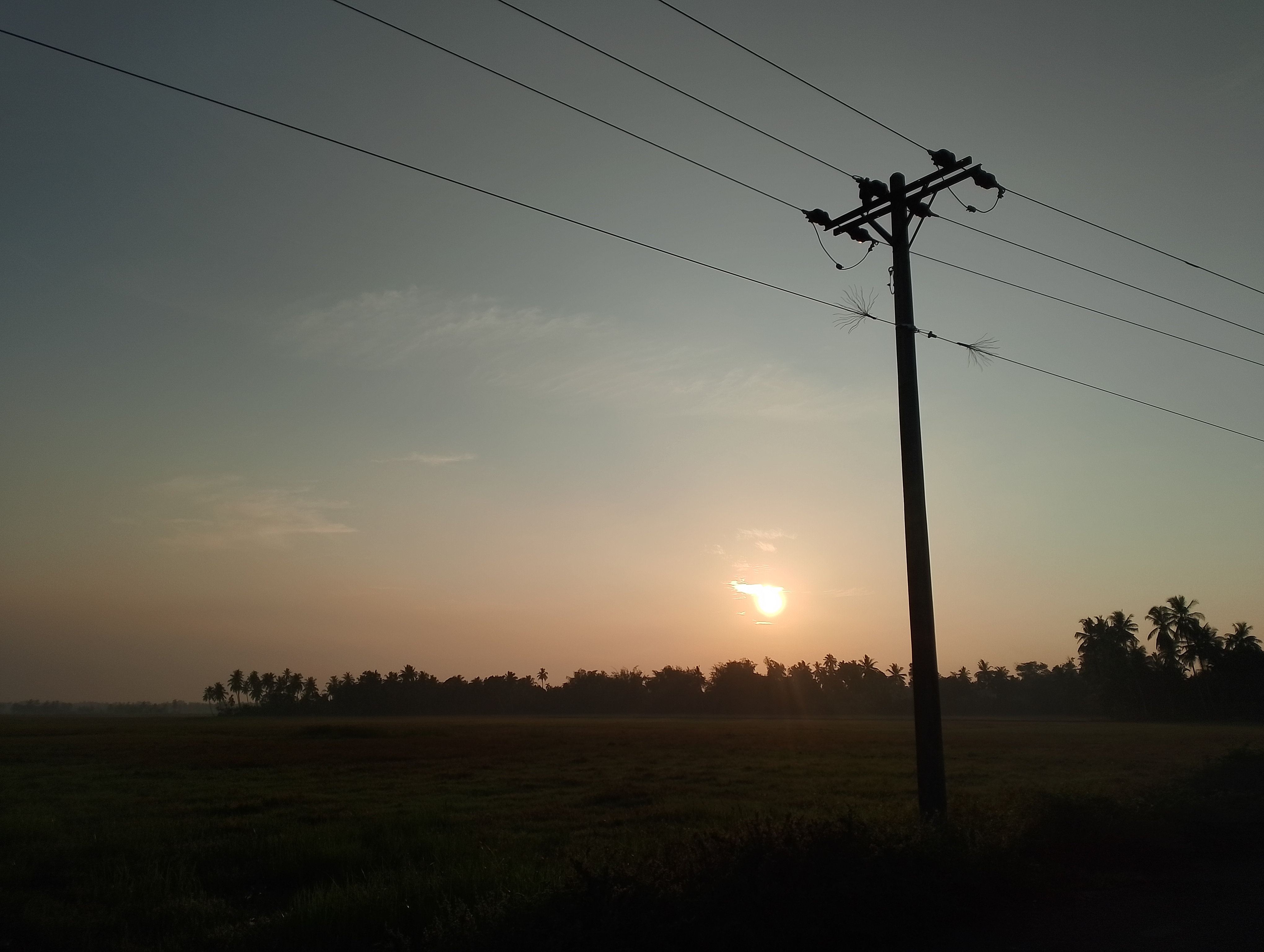 IMG_20250630_065013.jpg