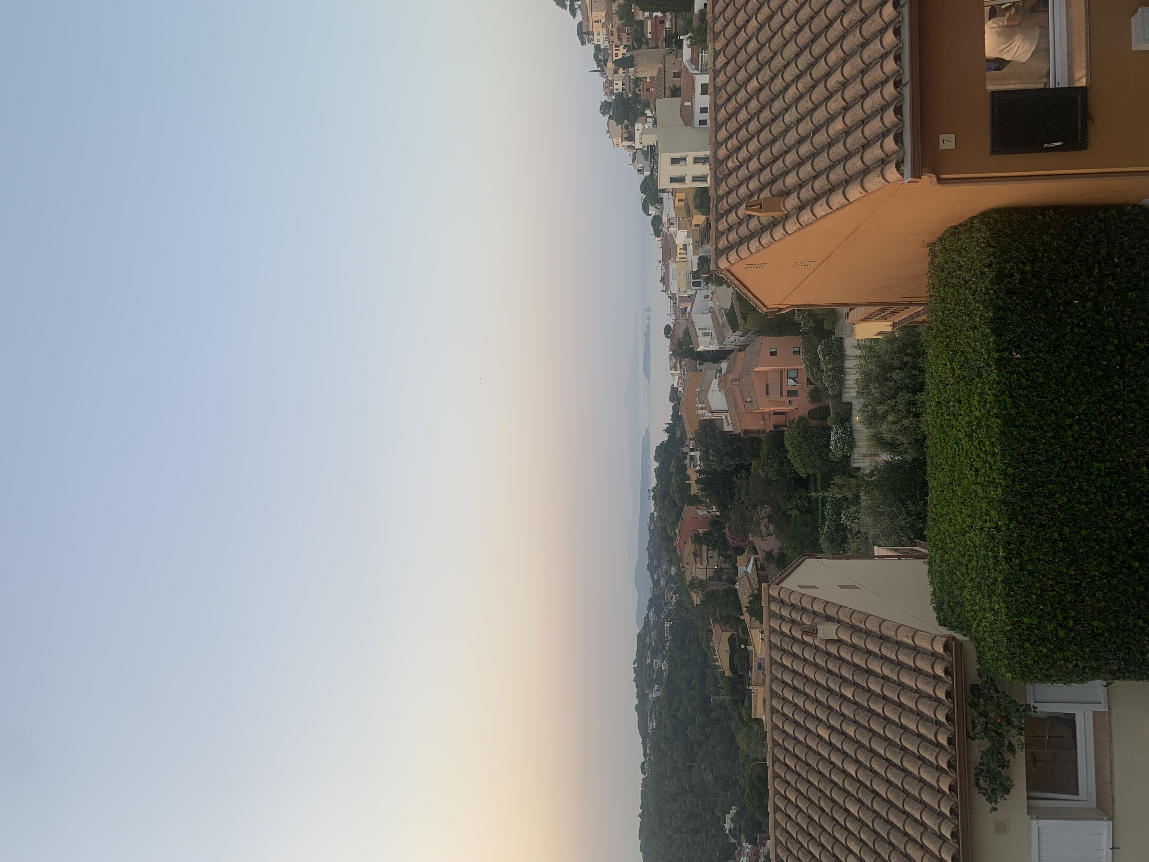 IMG_2026.jpeg