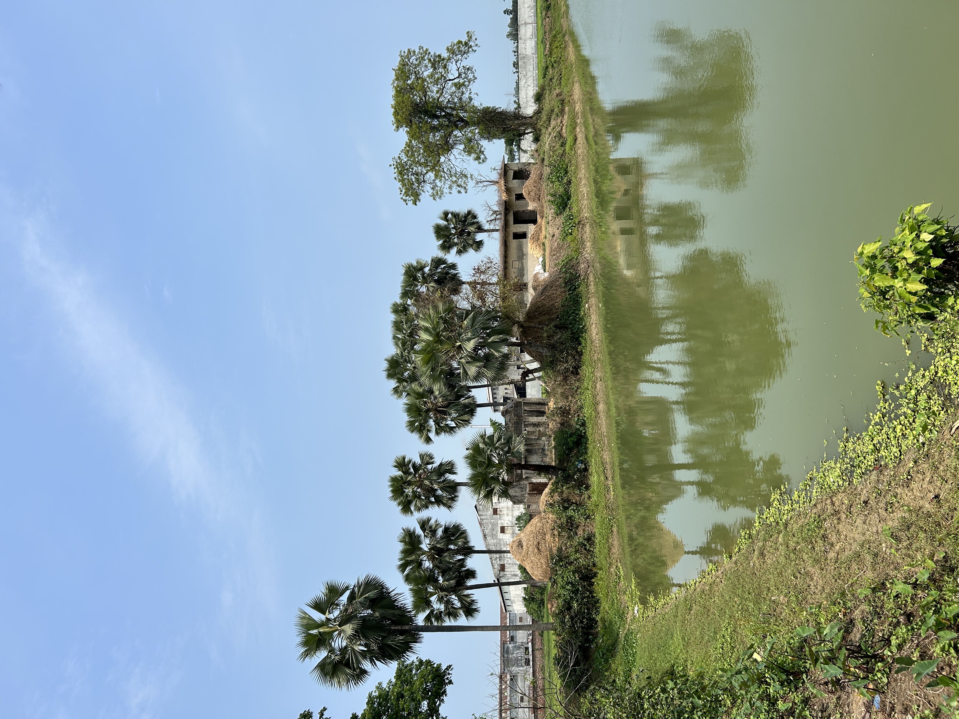 IMG_7417.jpeg