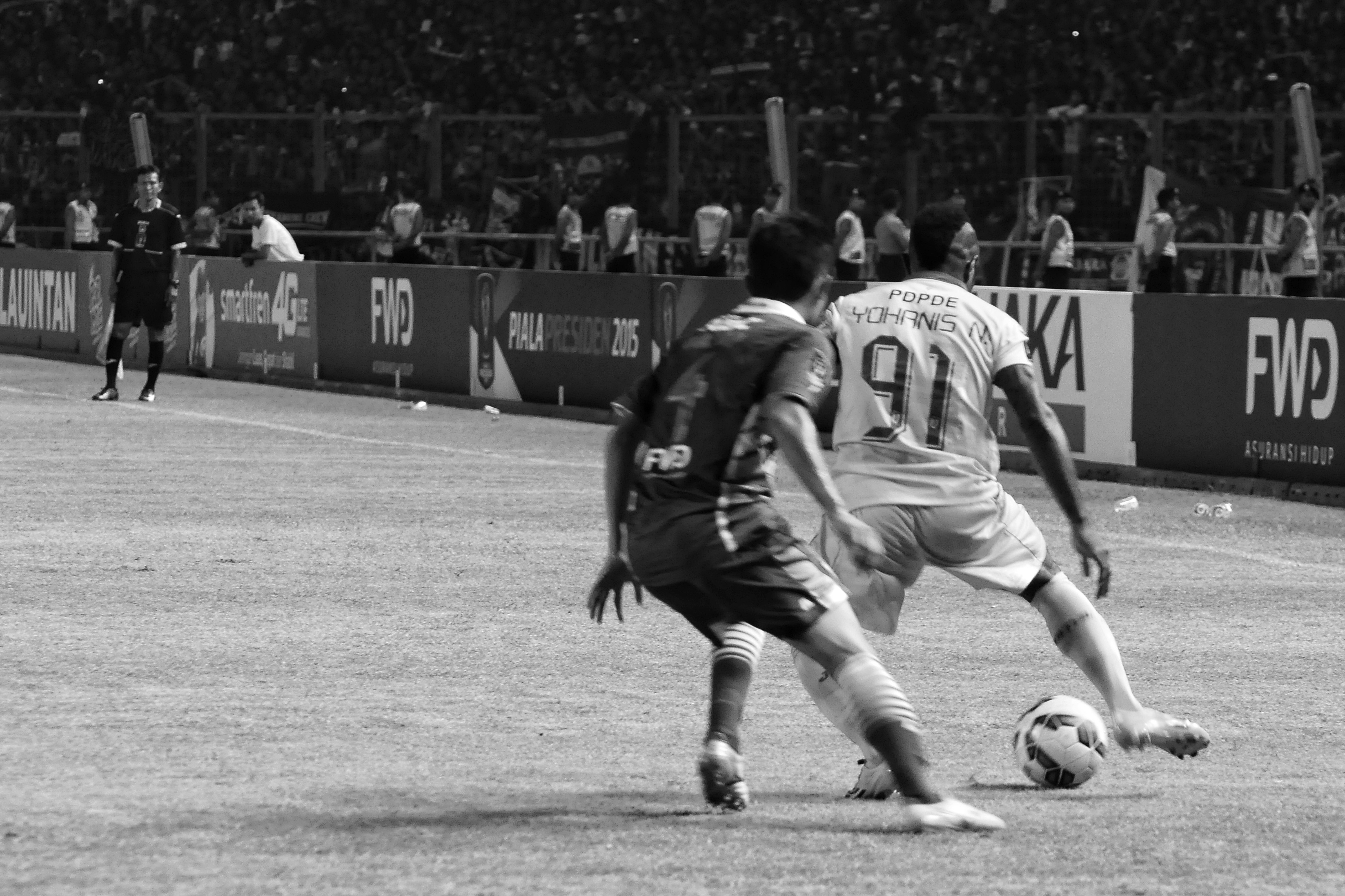 DSC_0415-01.jpeg