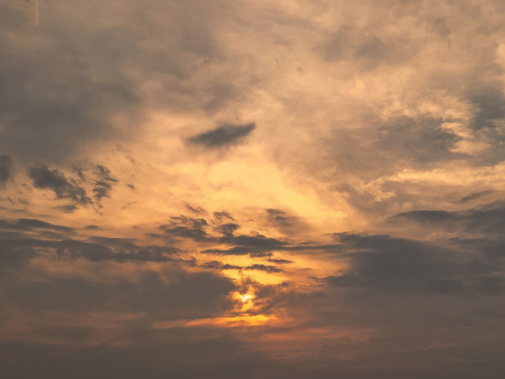 IMG_20240709_181205 (1).jpg