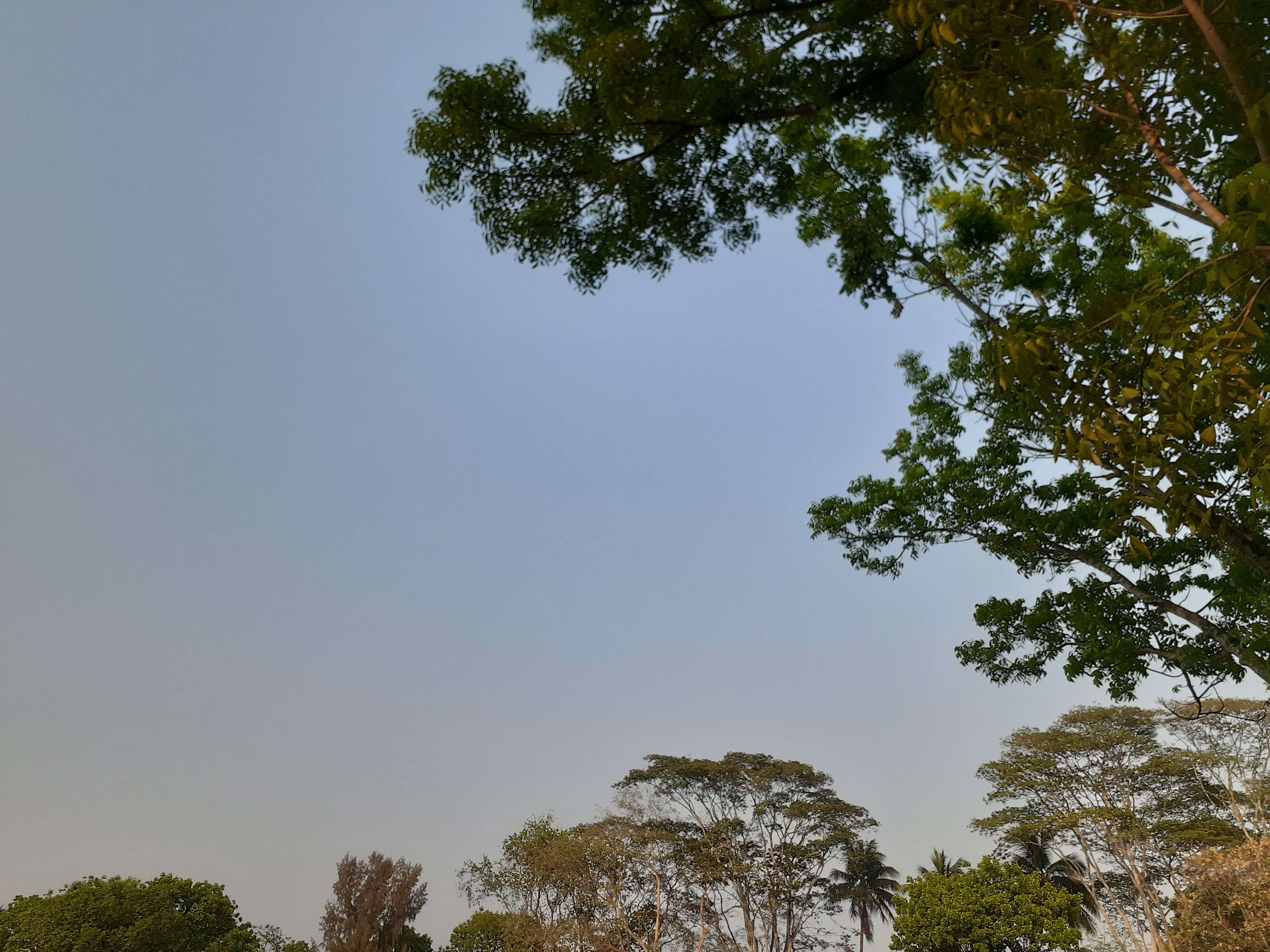 20230313_163936.jpg