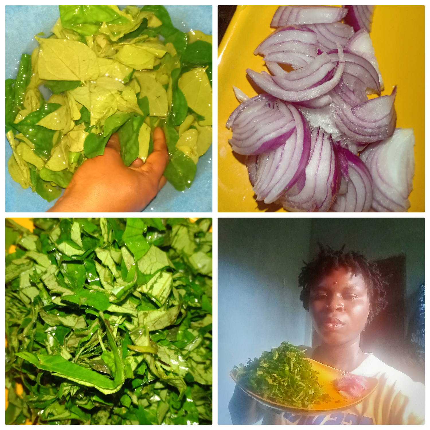 Collage 2025-08-19 13-19-08.png