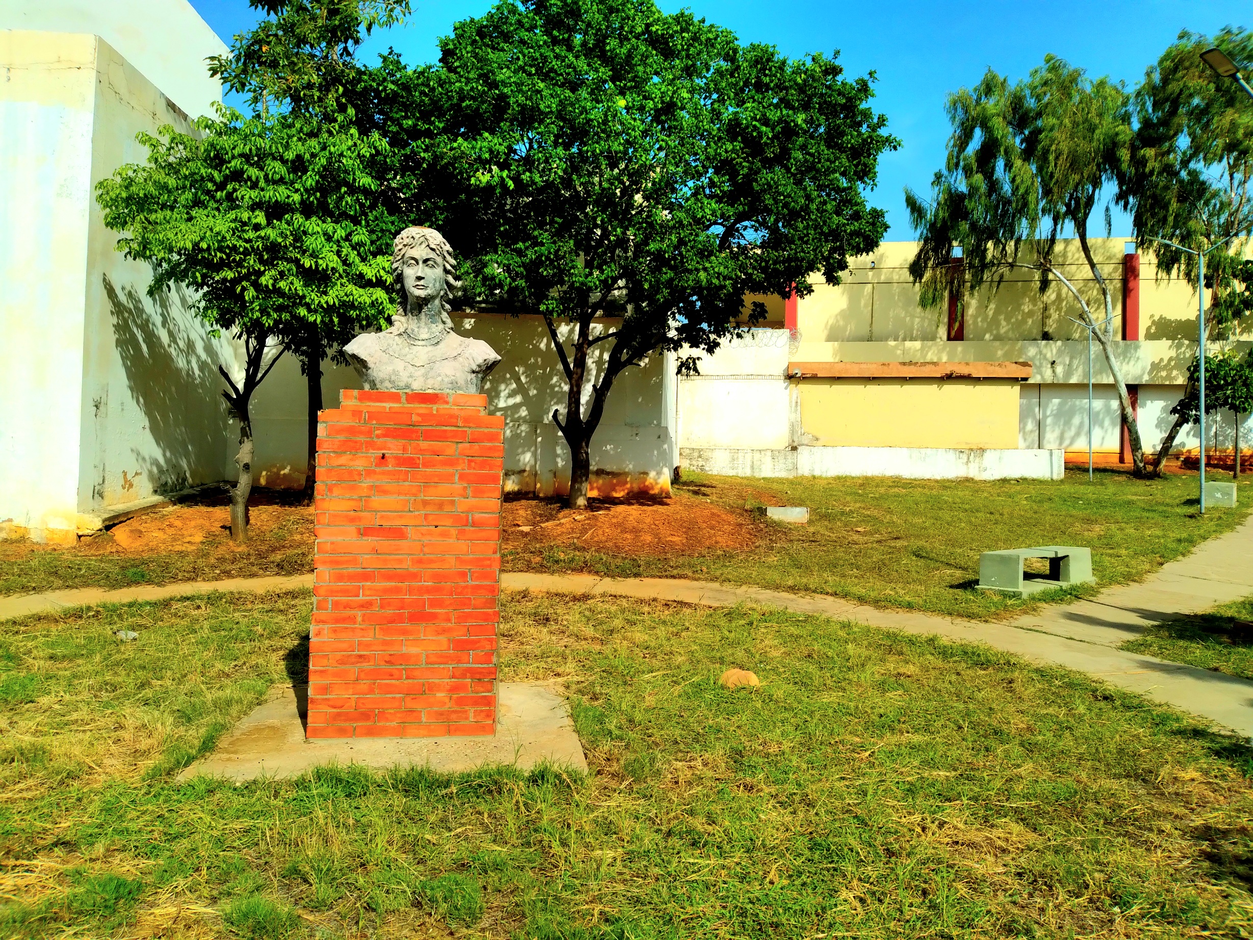 20250604_090915.jpg