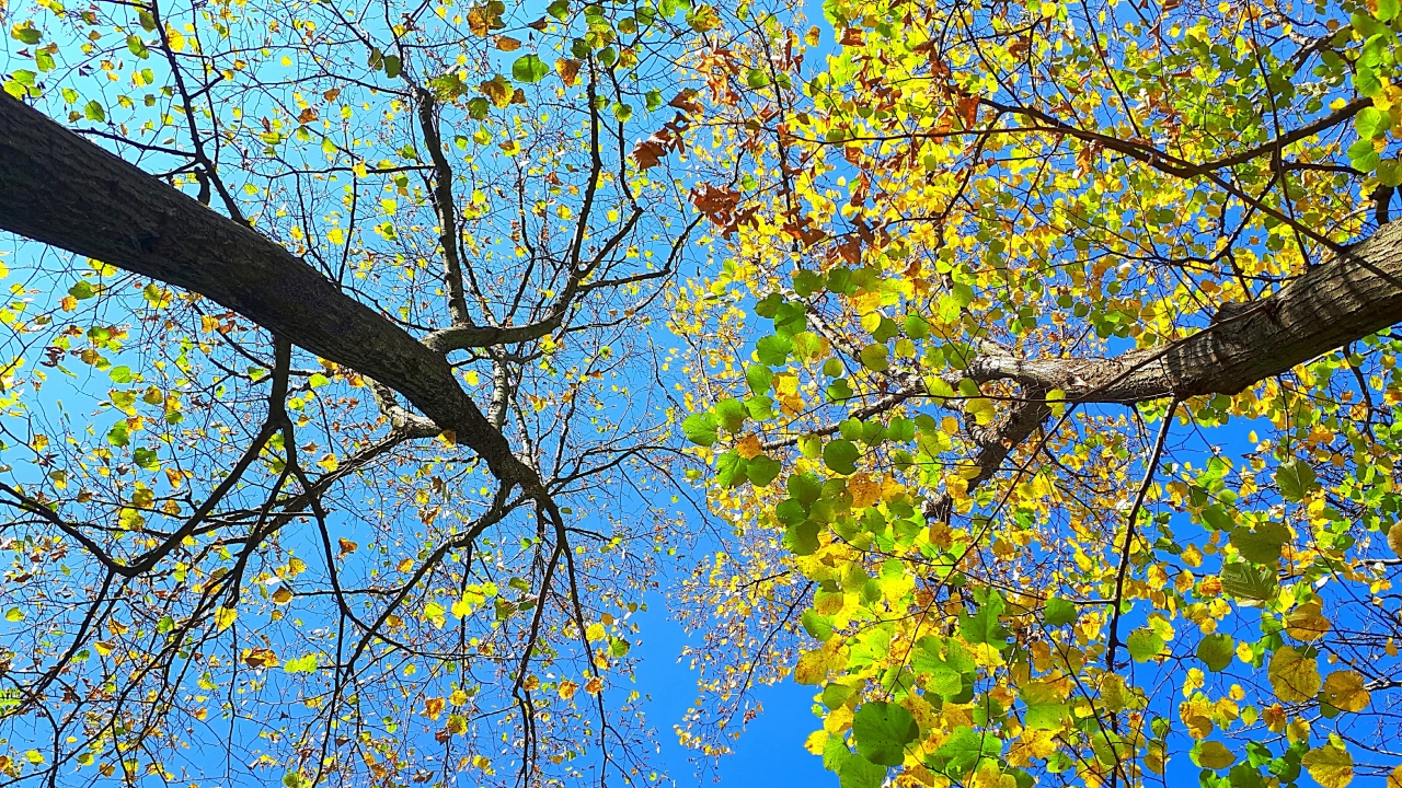20201101_125929.jpg