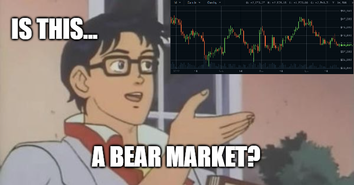 isthisbearmarketmeme.png