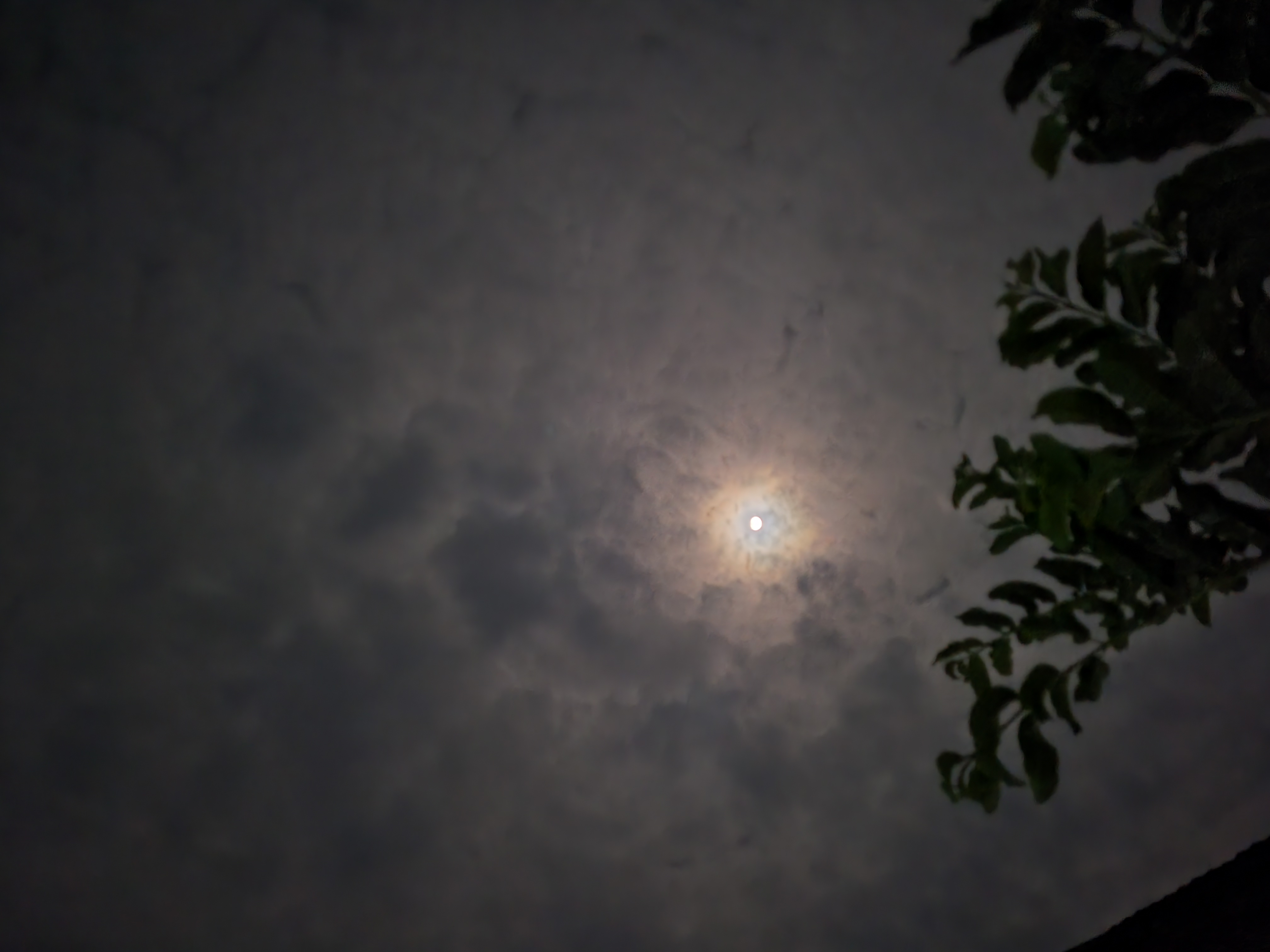 20250907_222615.jpg