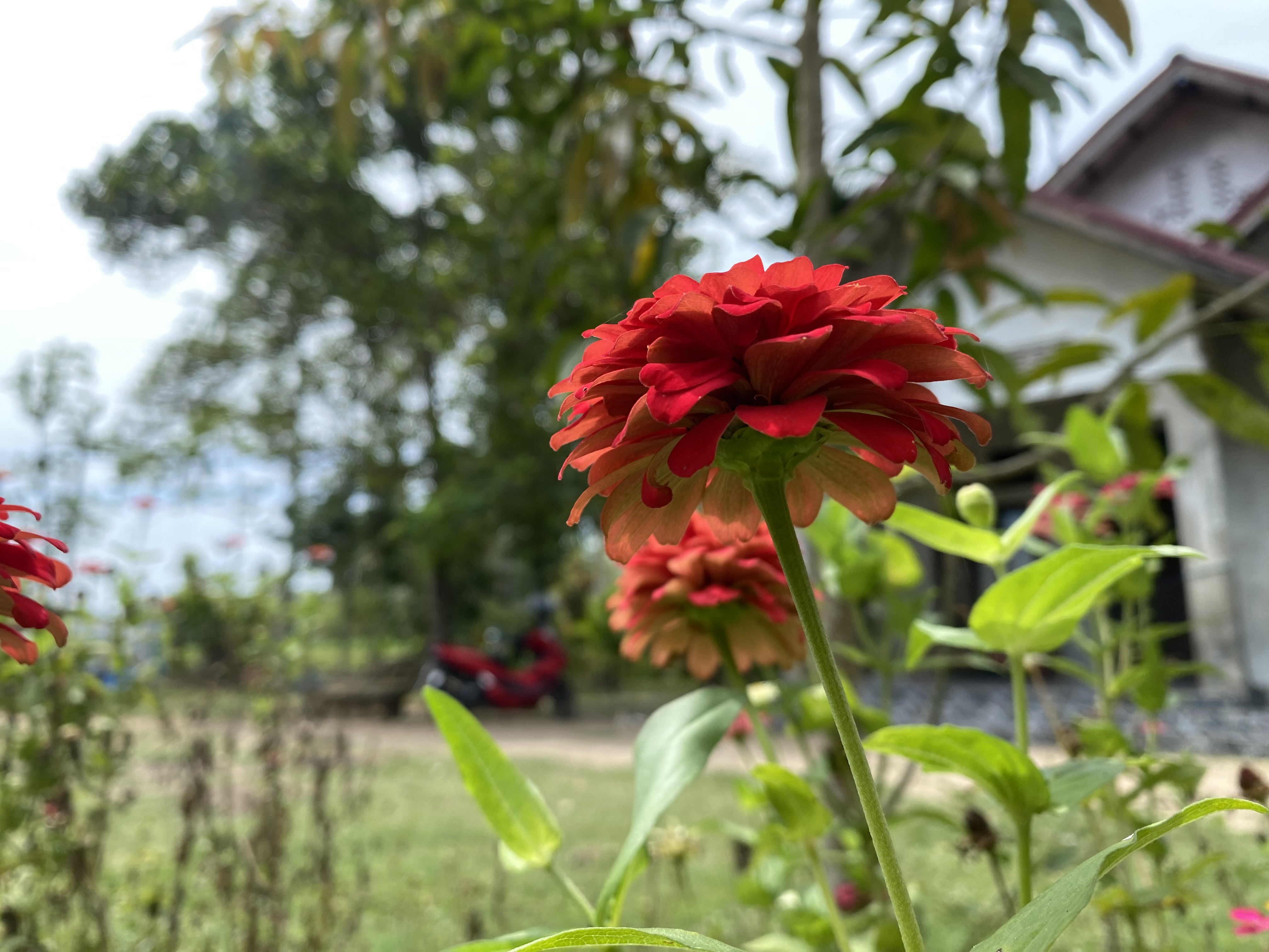 IMG_4140.jpeg