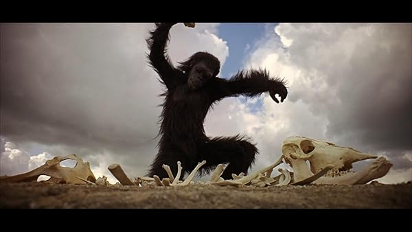 02 Foto primate.jpg