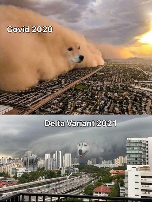 Dust Storm Dog 2 Panel 24112021053245.jpg