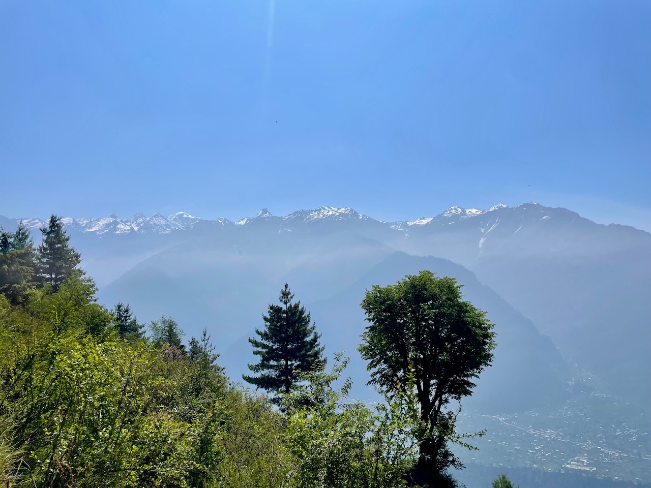 IMG_3757.jpeg