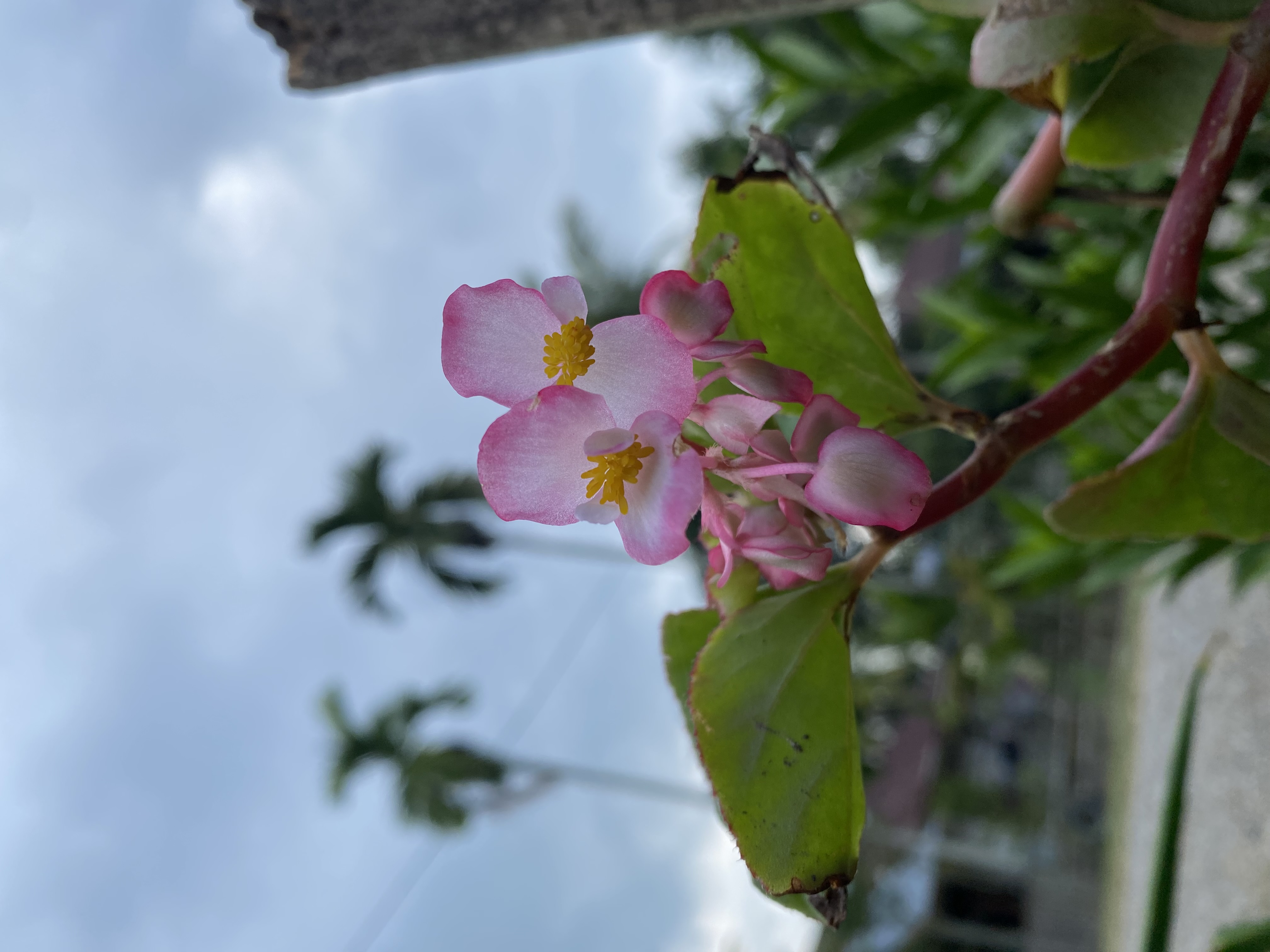  "IMG_1080.jpeg"