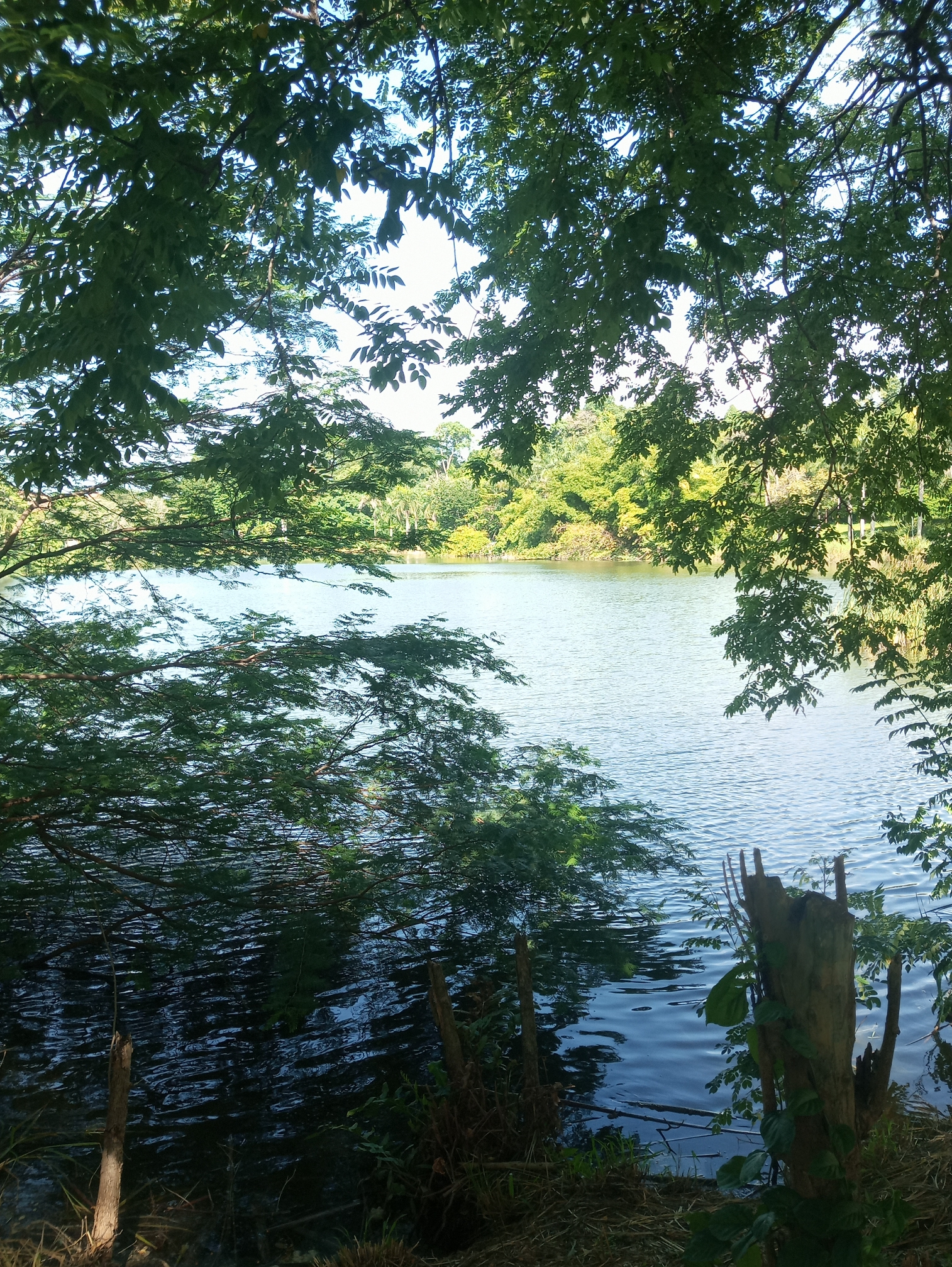 IMG_20250627_154210_60.jpg