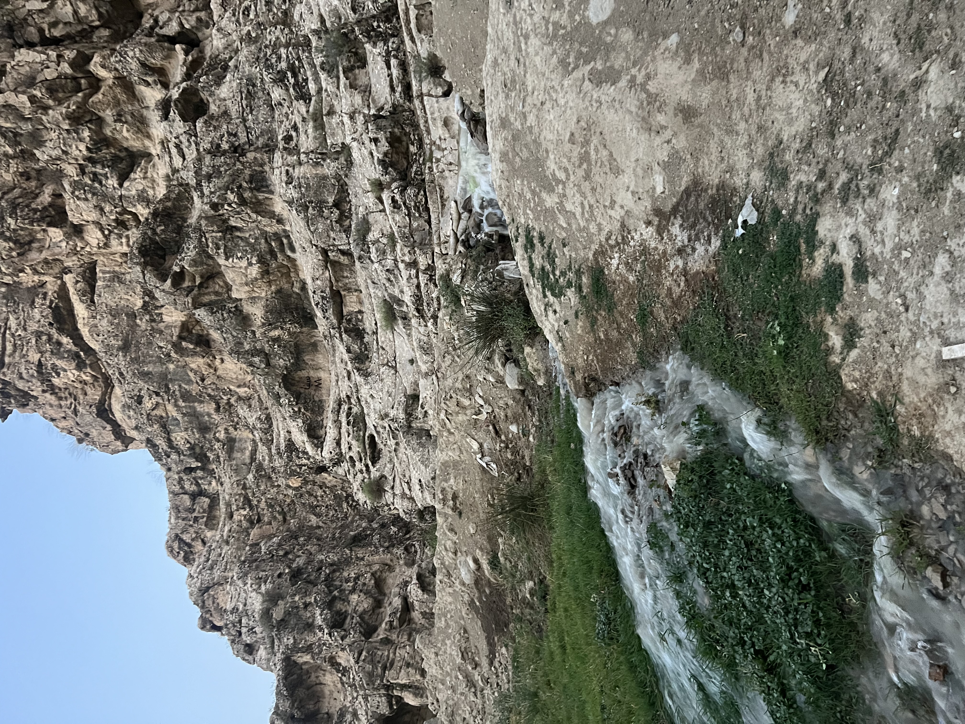 IMG_5762.jpeg