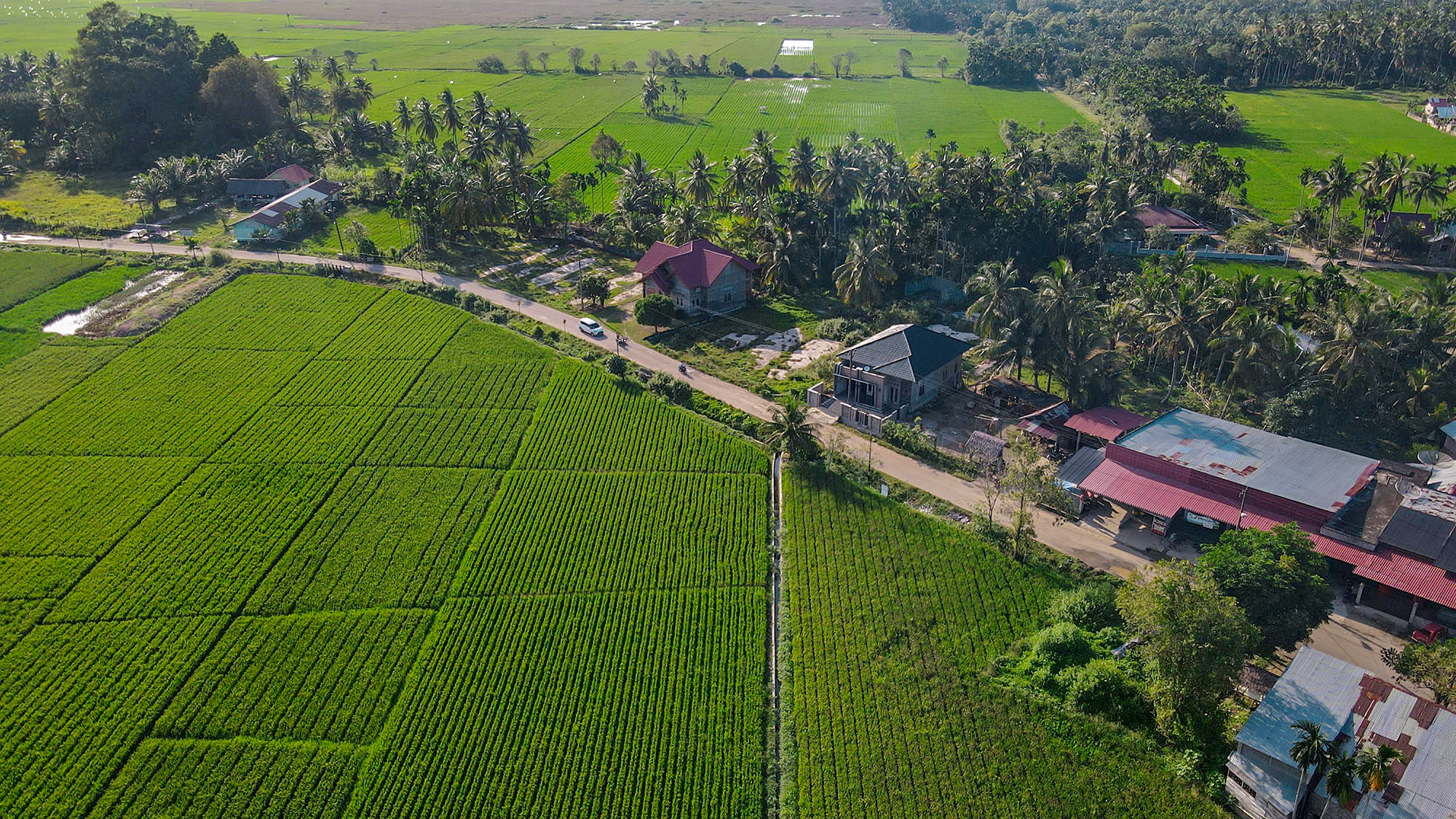 dji_fly_20221029_162256_536_1667036039453_photo.jpg