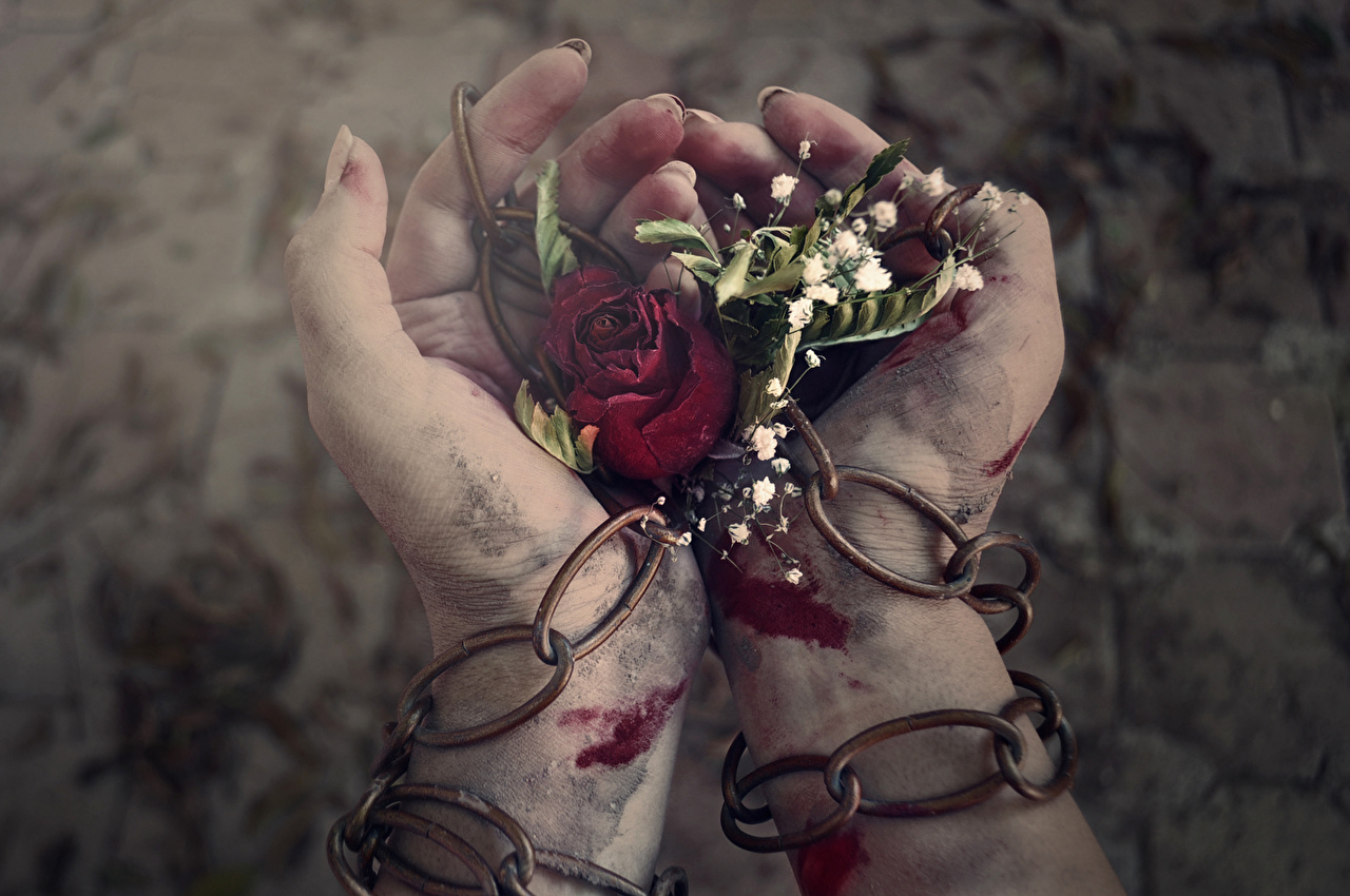 Roses_Hands_Blood_Chain_436386.jpg