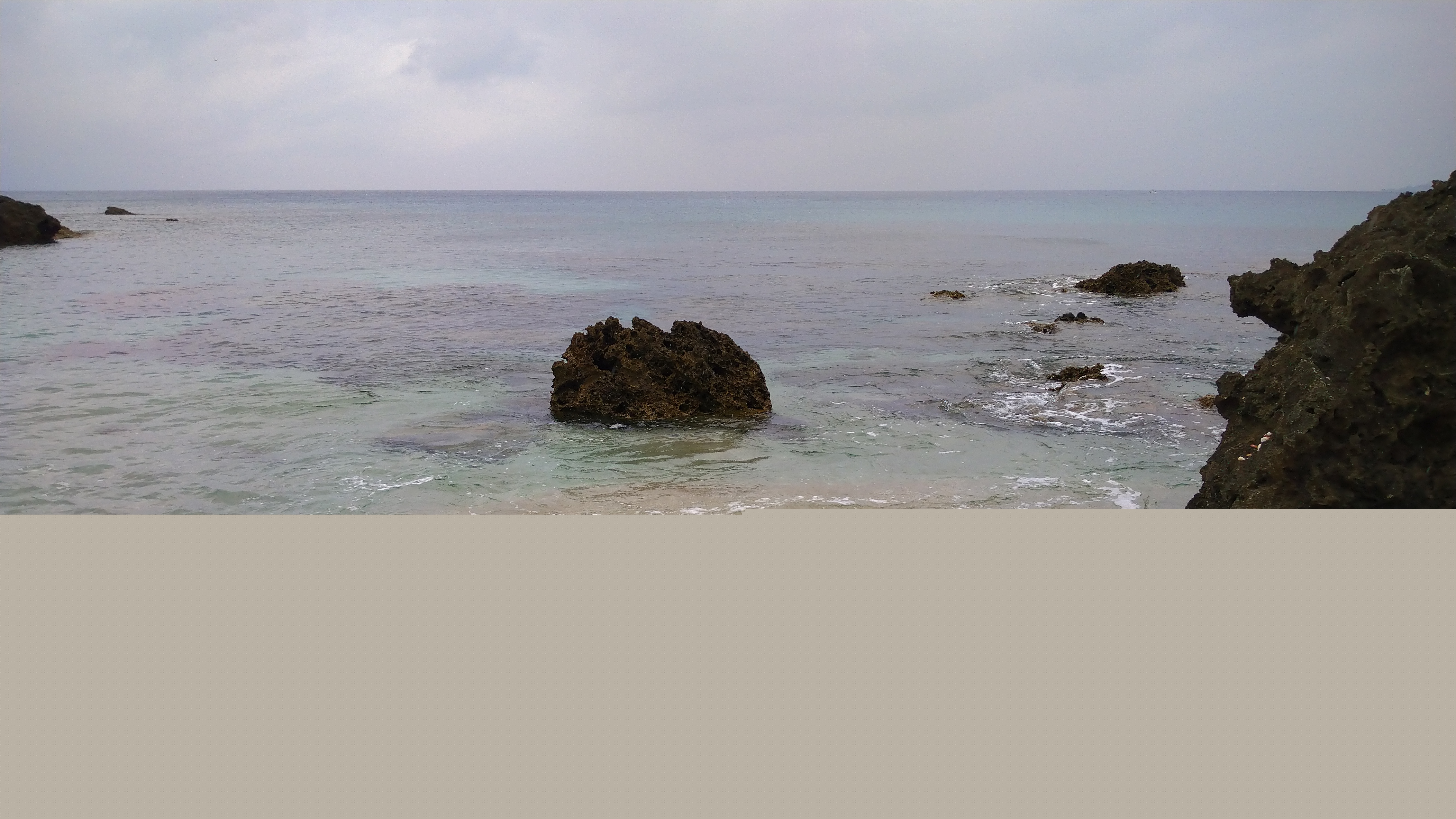 DSC_8113.JPG