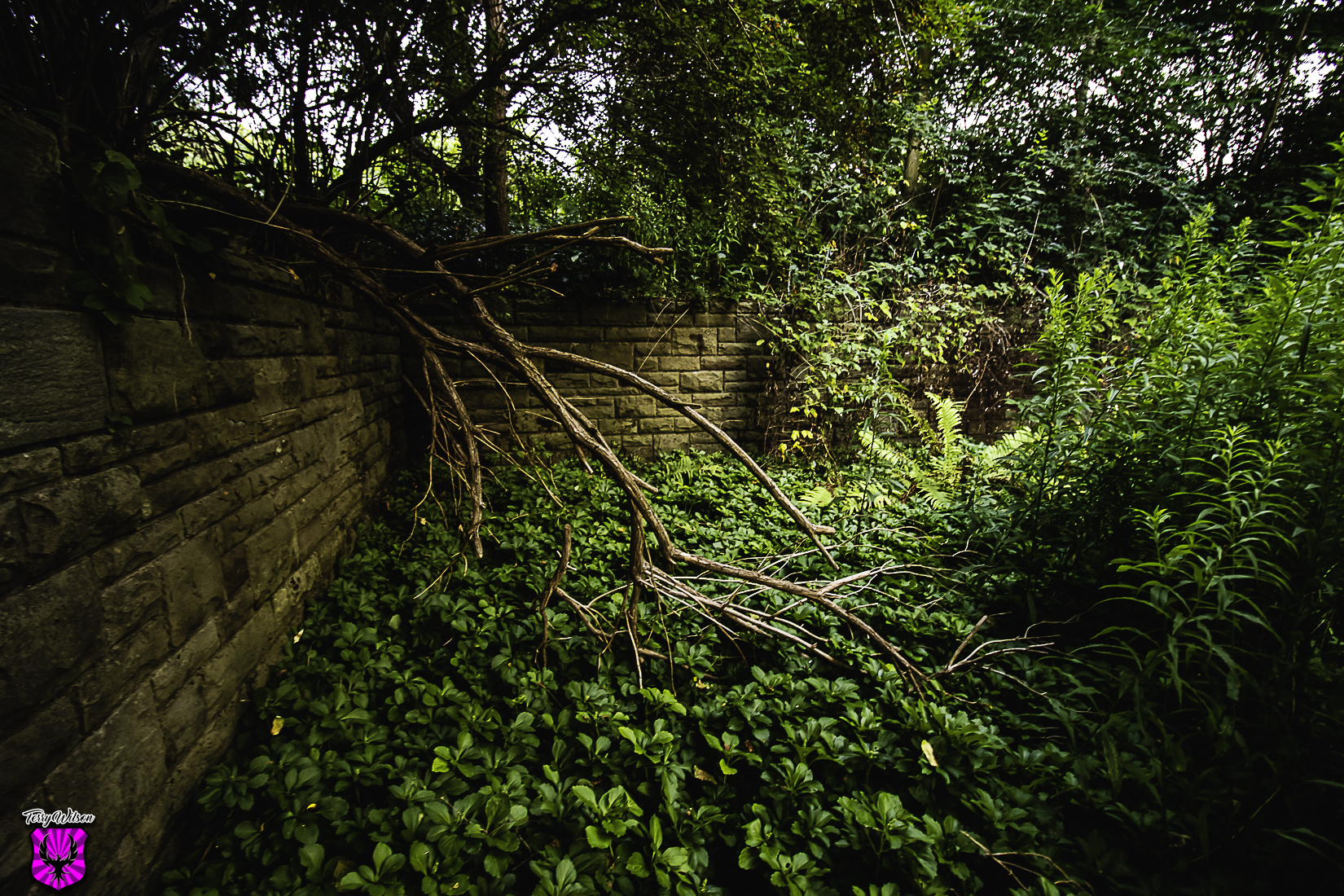 Abandoned 1920s Memorial Garden